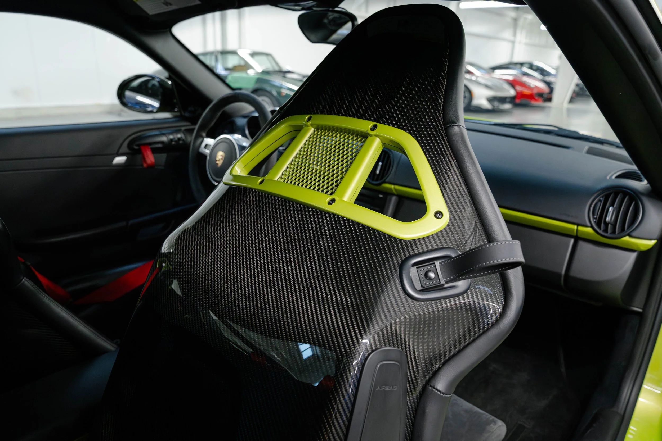 dino cayman r (20 of 40).jpg