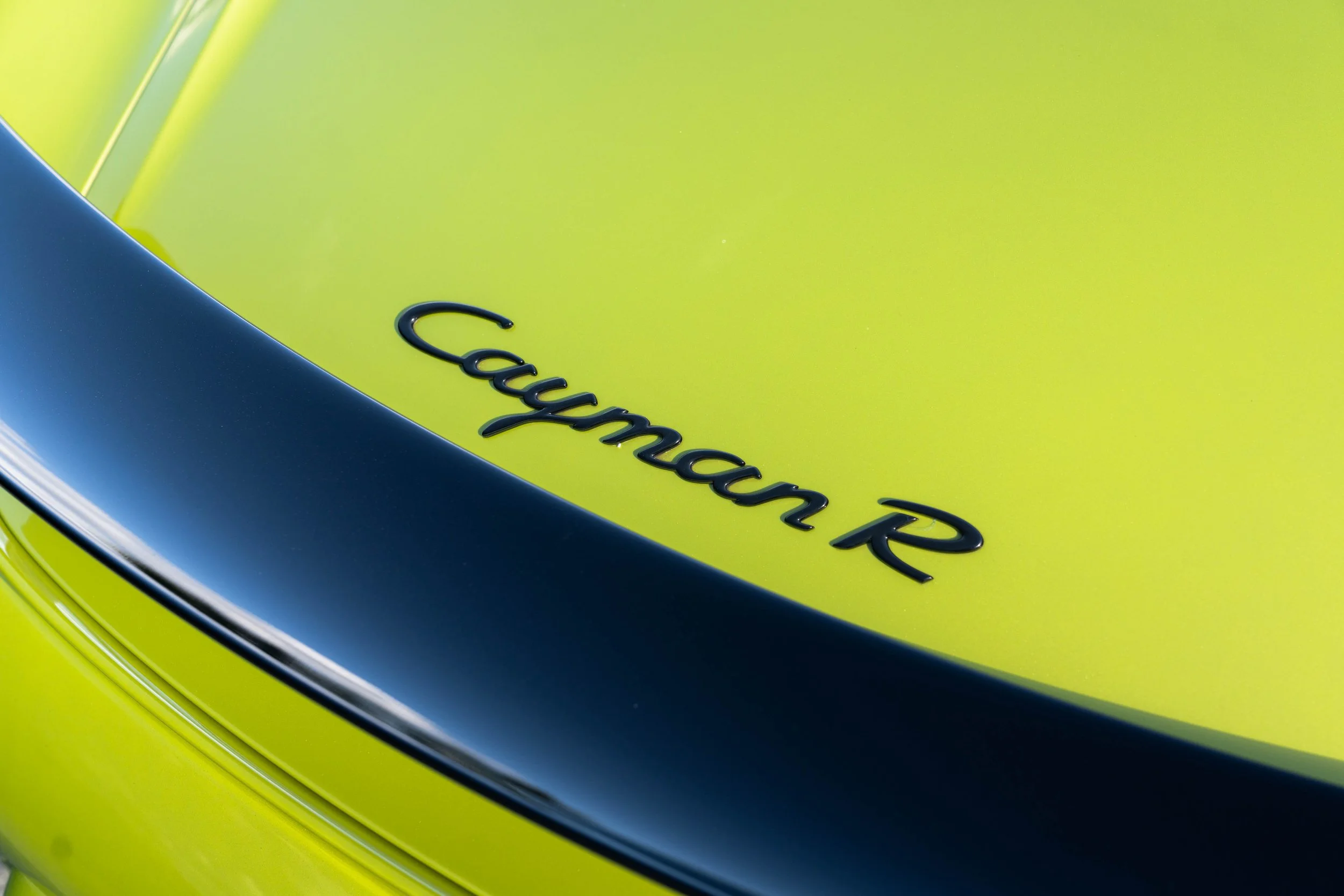 dino cayman r (32 of 70).jpg