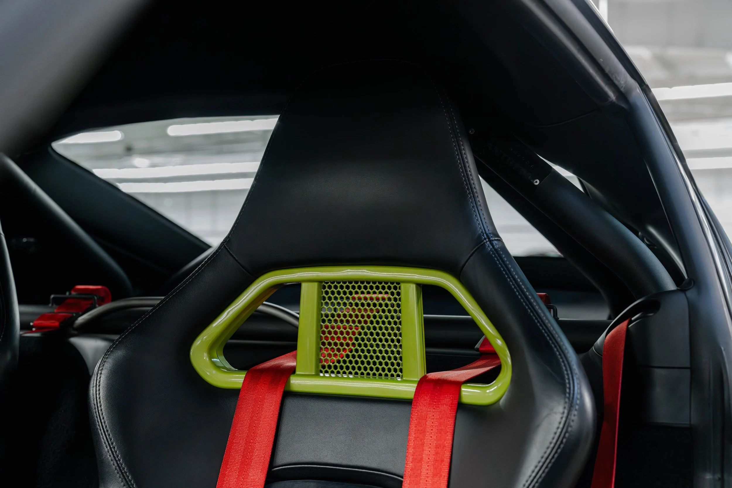 dino cayman r (17 of 40).jpg