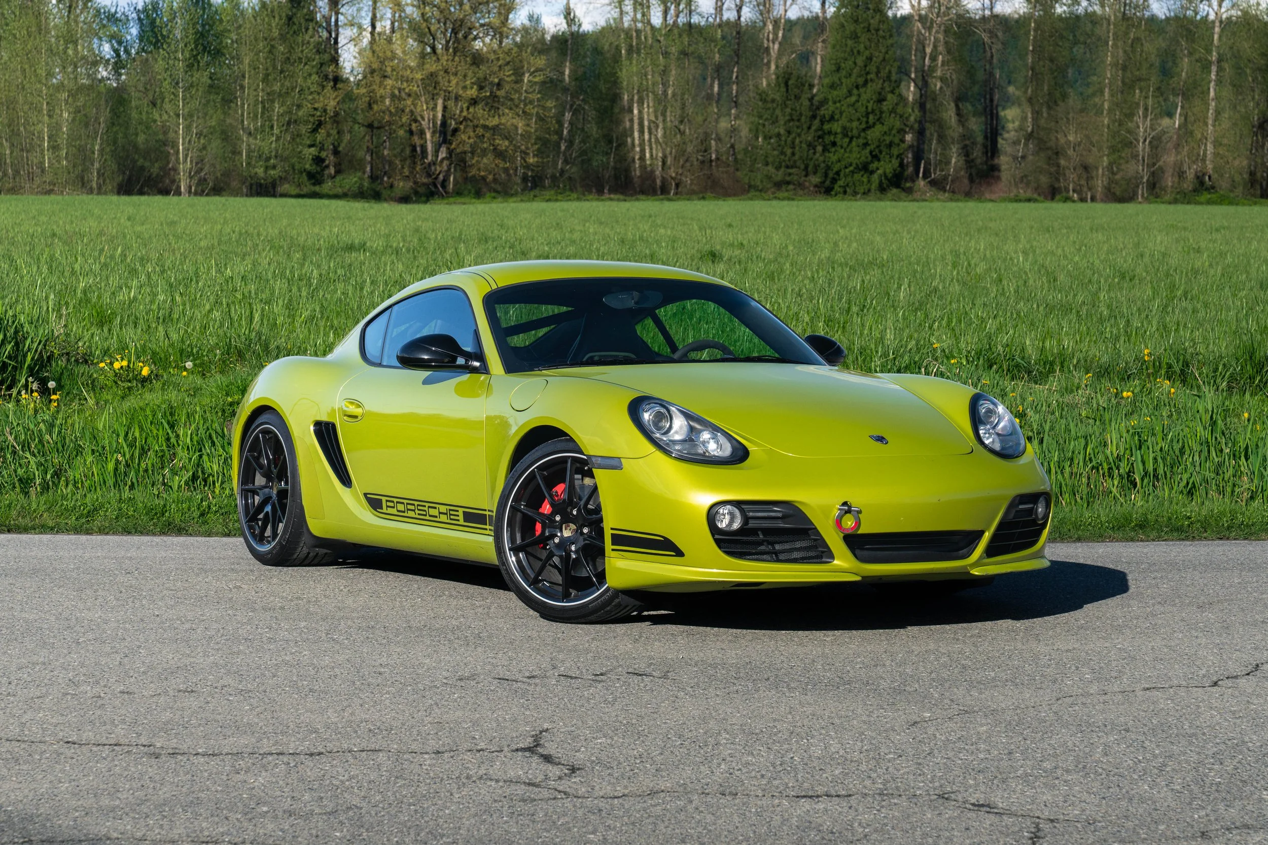 dino cayman r (67 of 70).jpg
