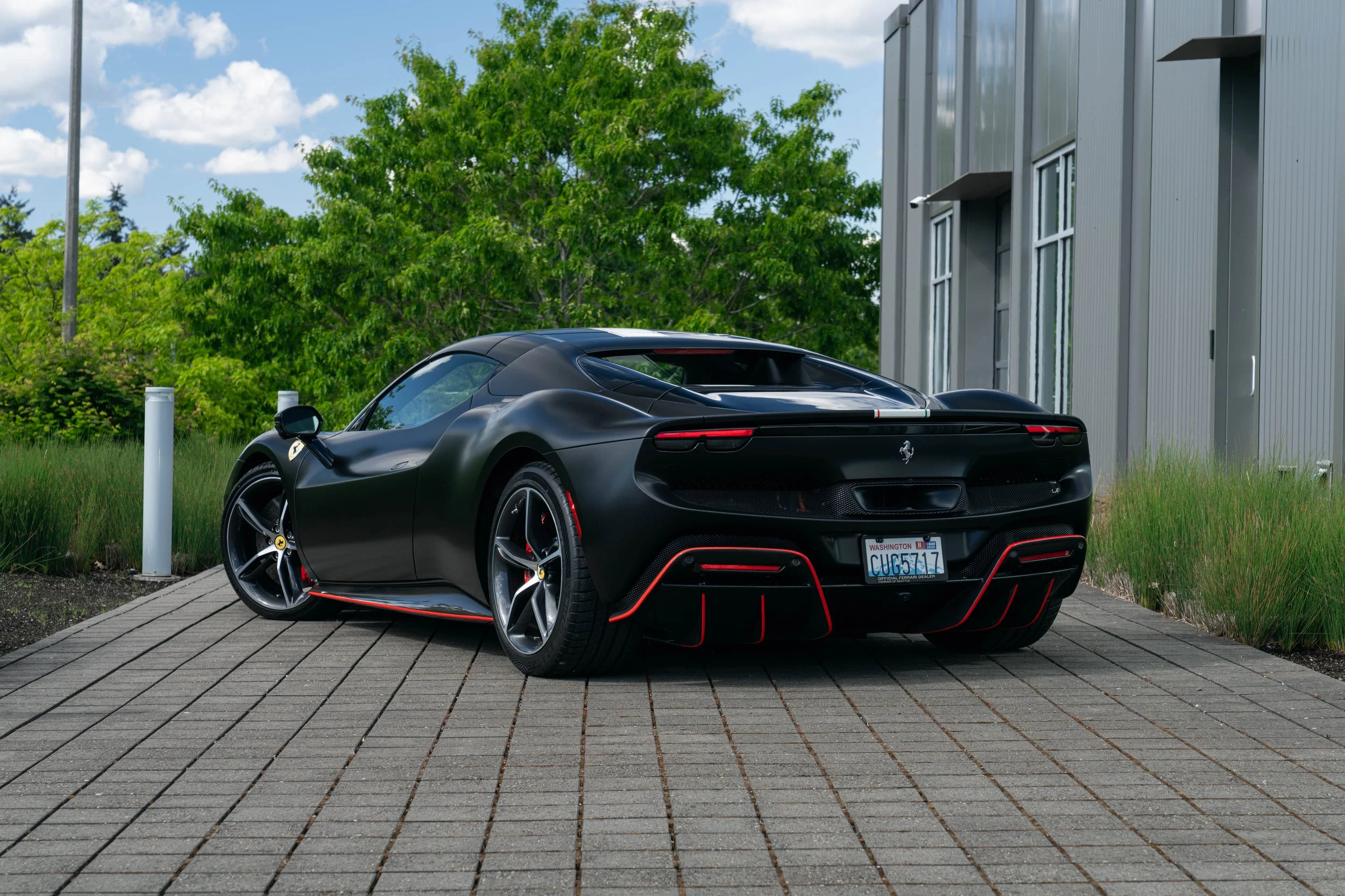296 dino (1 of 19).jpg