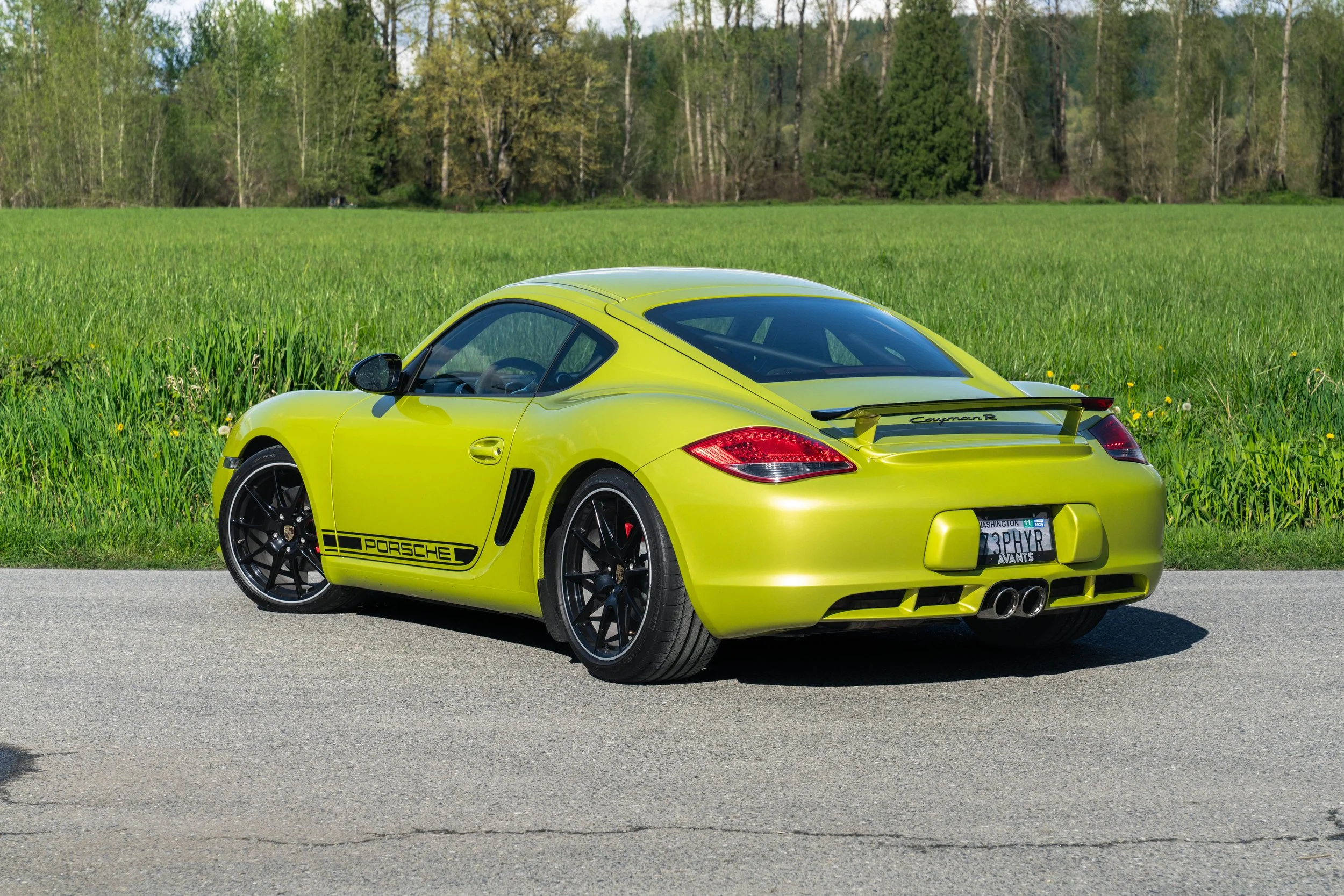 dino cayman r (36 of 70).jpg