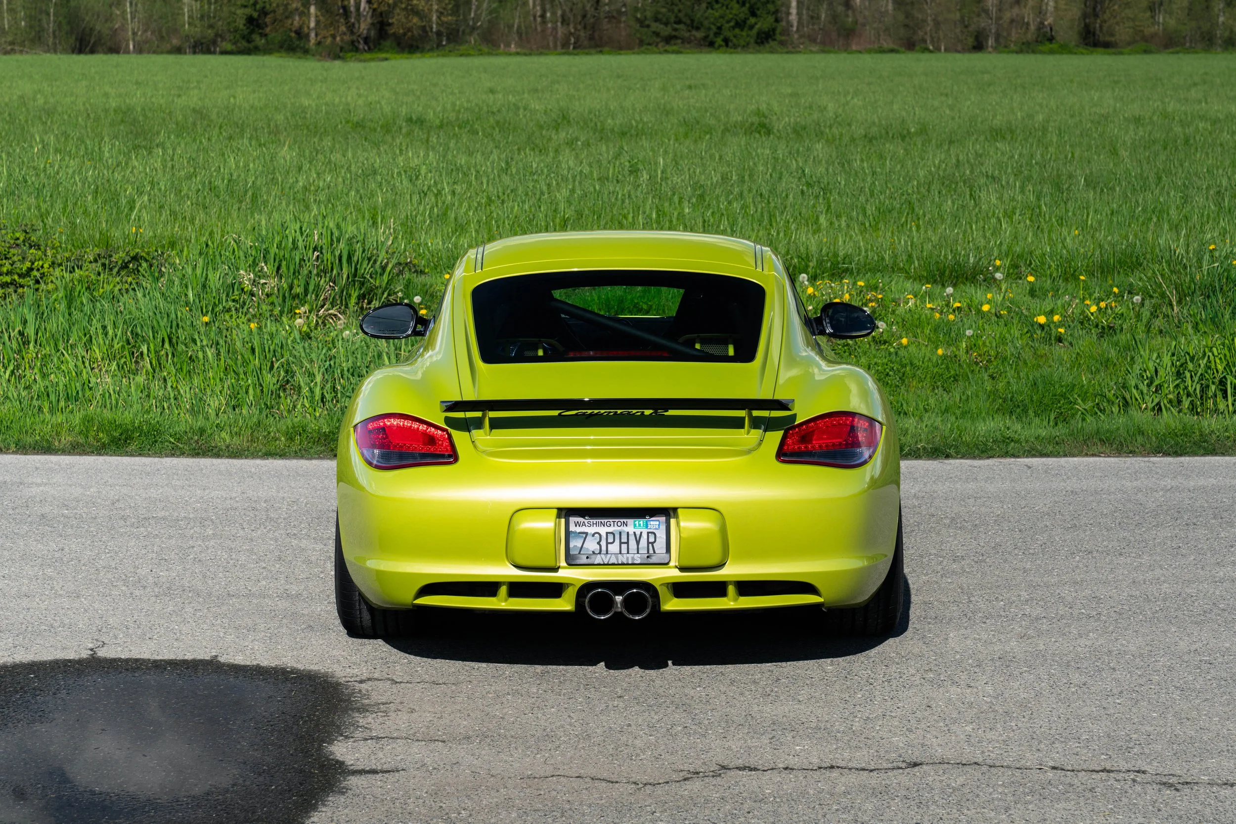 dino cayman r (2 of 70).jpg