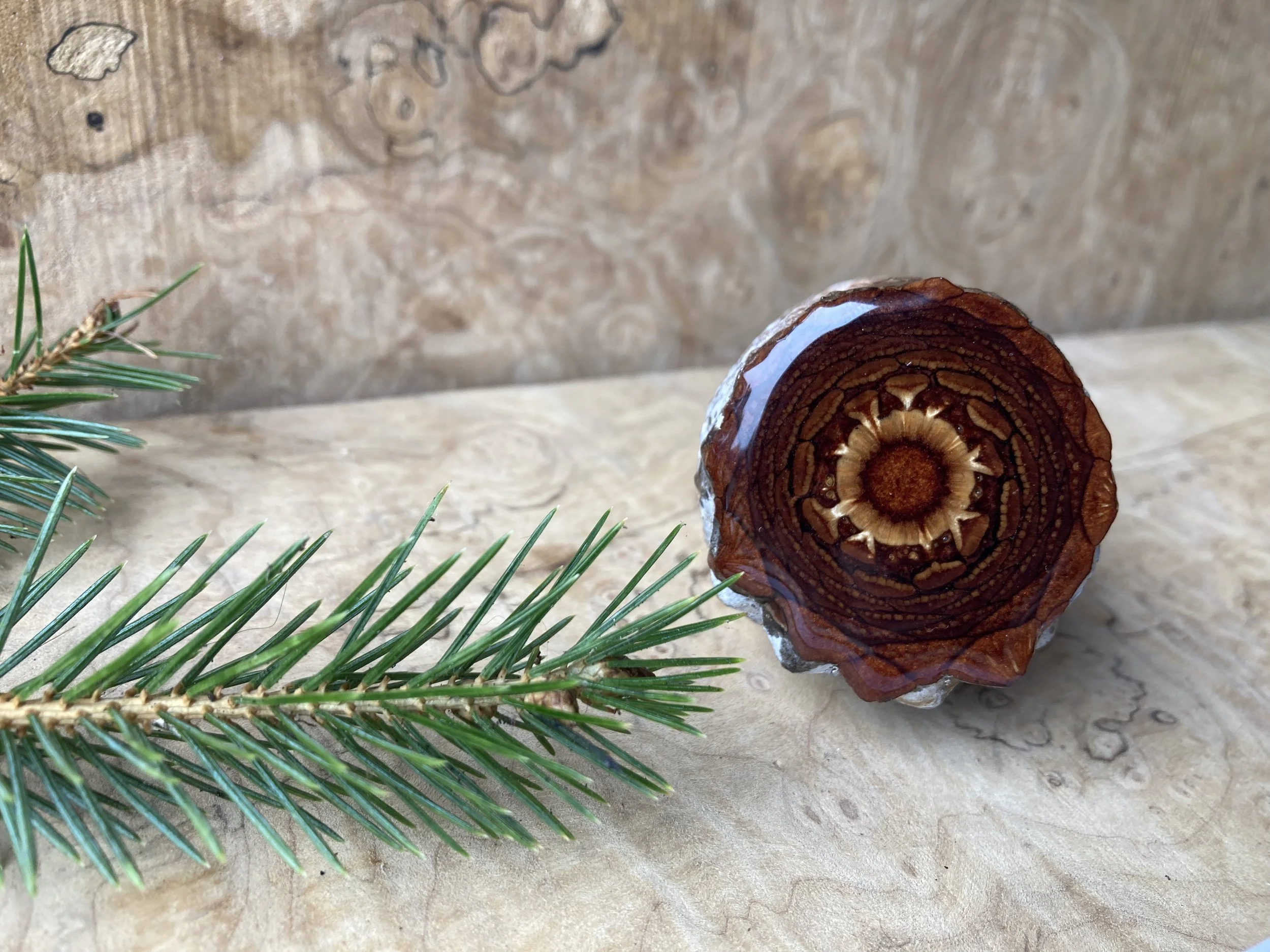 Pinecone Mantle Piece