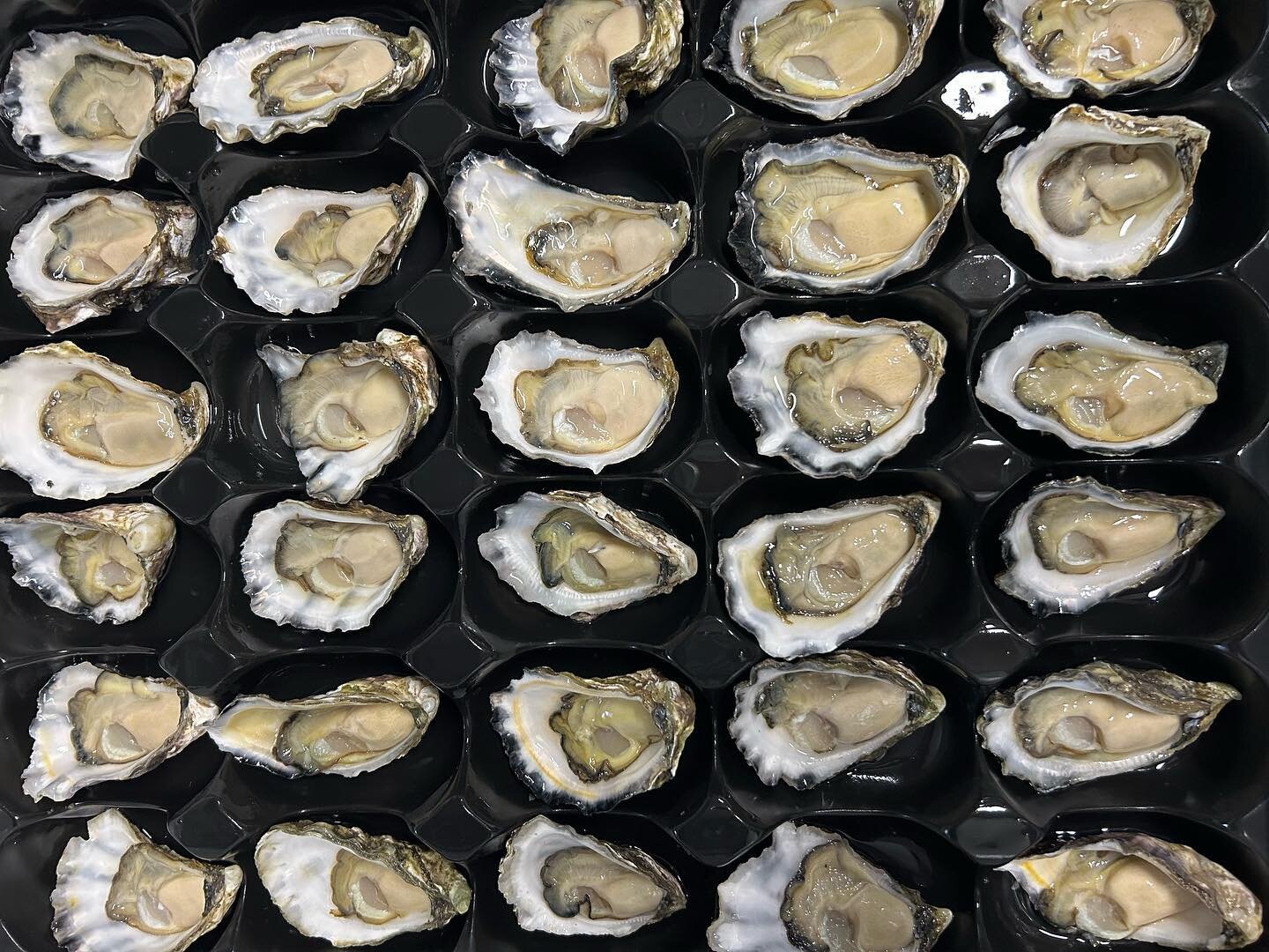 Todays specials - We have a new load cracking  oysters from Port Stephens, line caught and spiked #SWR Mahi from our team here at NWS, sashimi platters and #SWR cooked spanner crabs. We have a very limited supply of #SWR XL school prawns so these won
