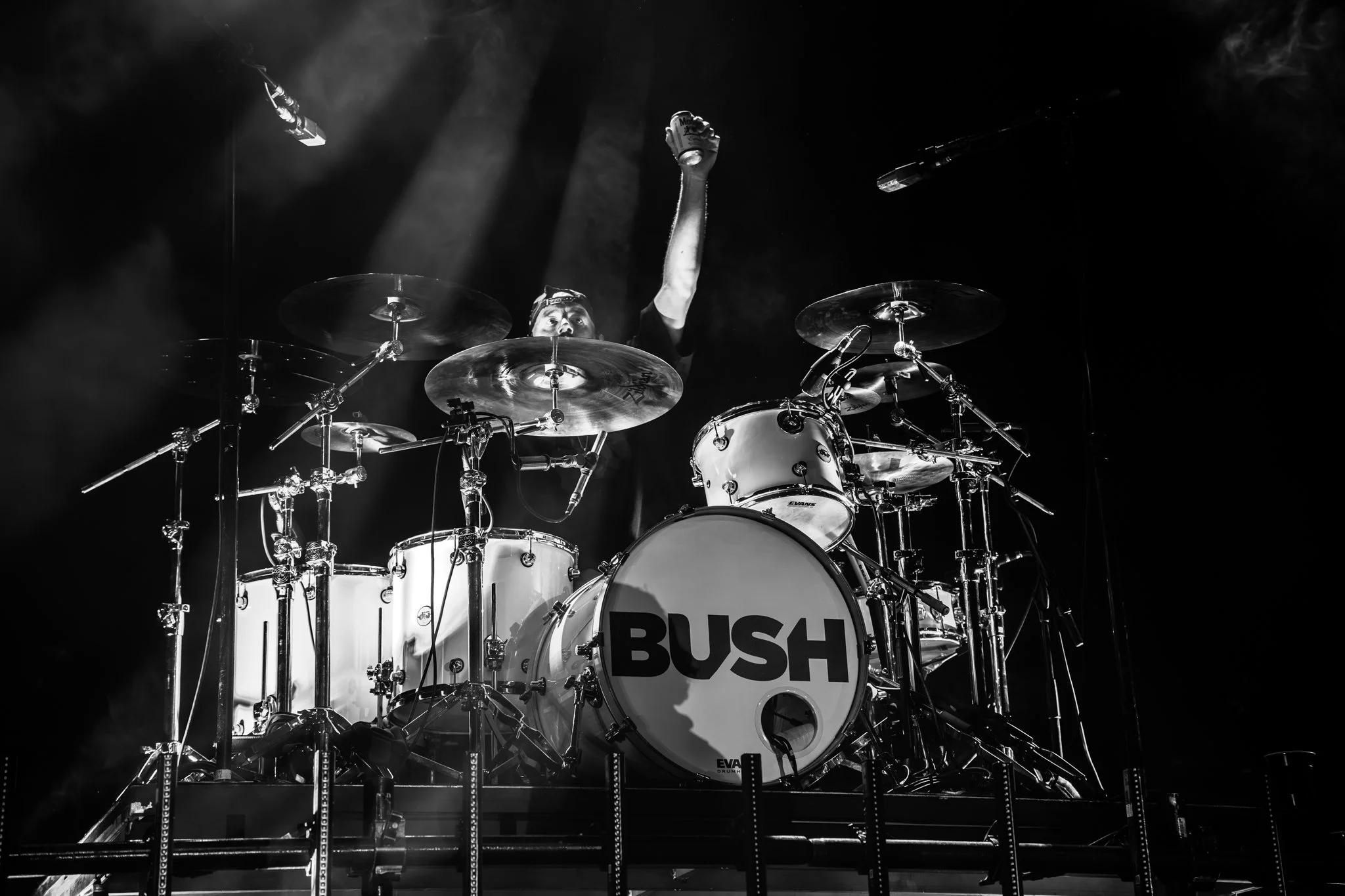 Bush-21.jpg