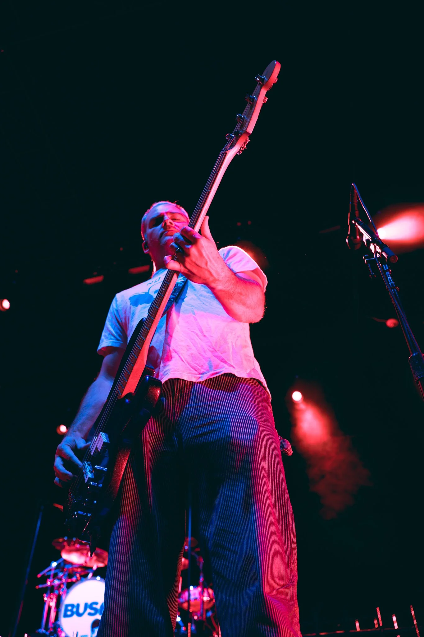 Bush-31.jpg