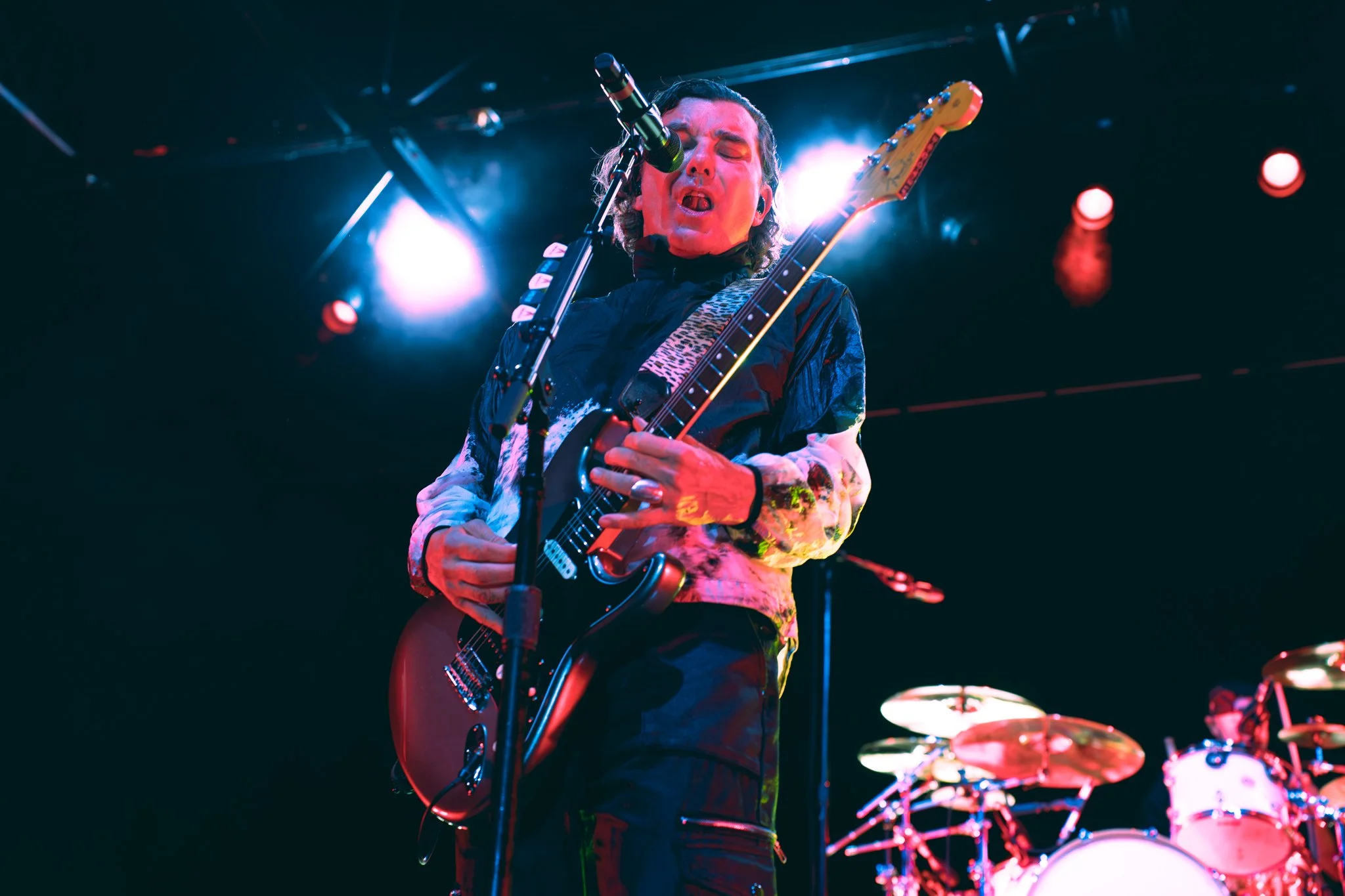 Bush-34.jpg
