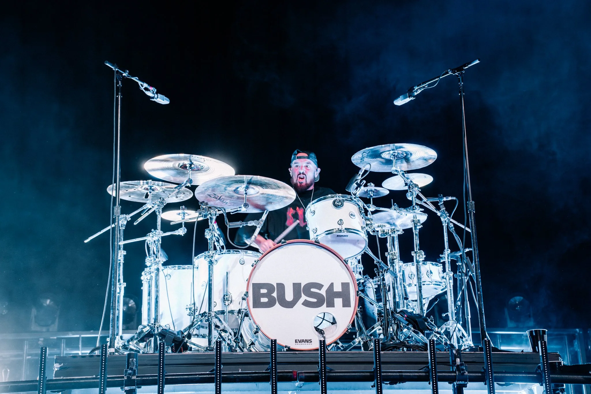 Bush-46.jpg