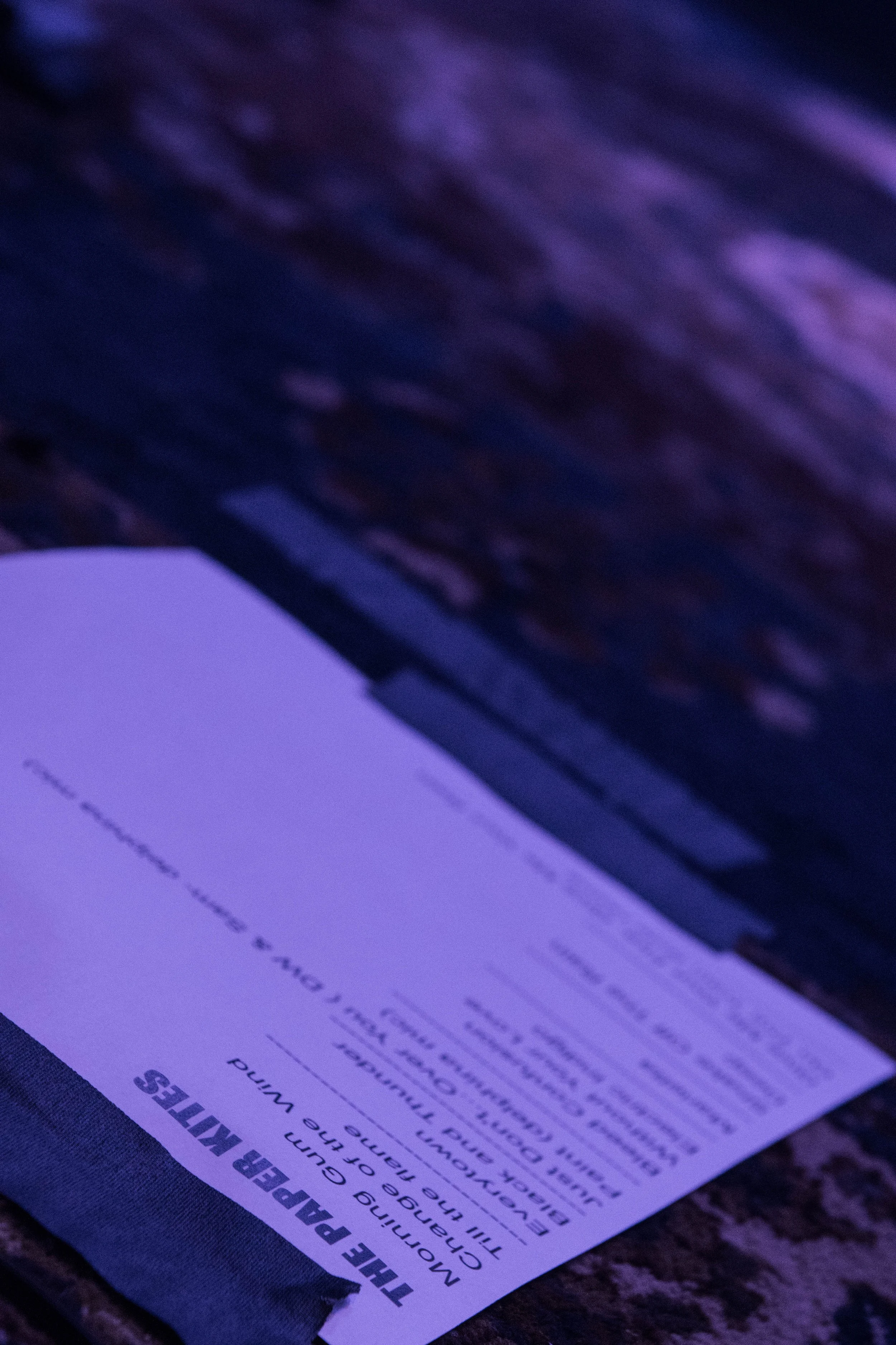 the paper kites-1.JPG