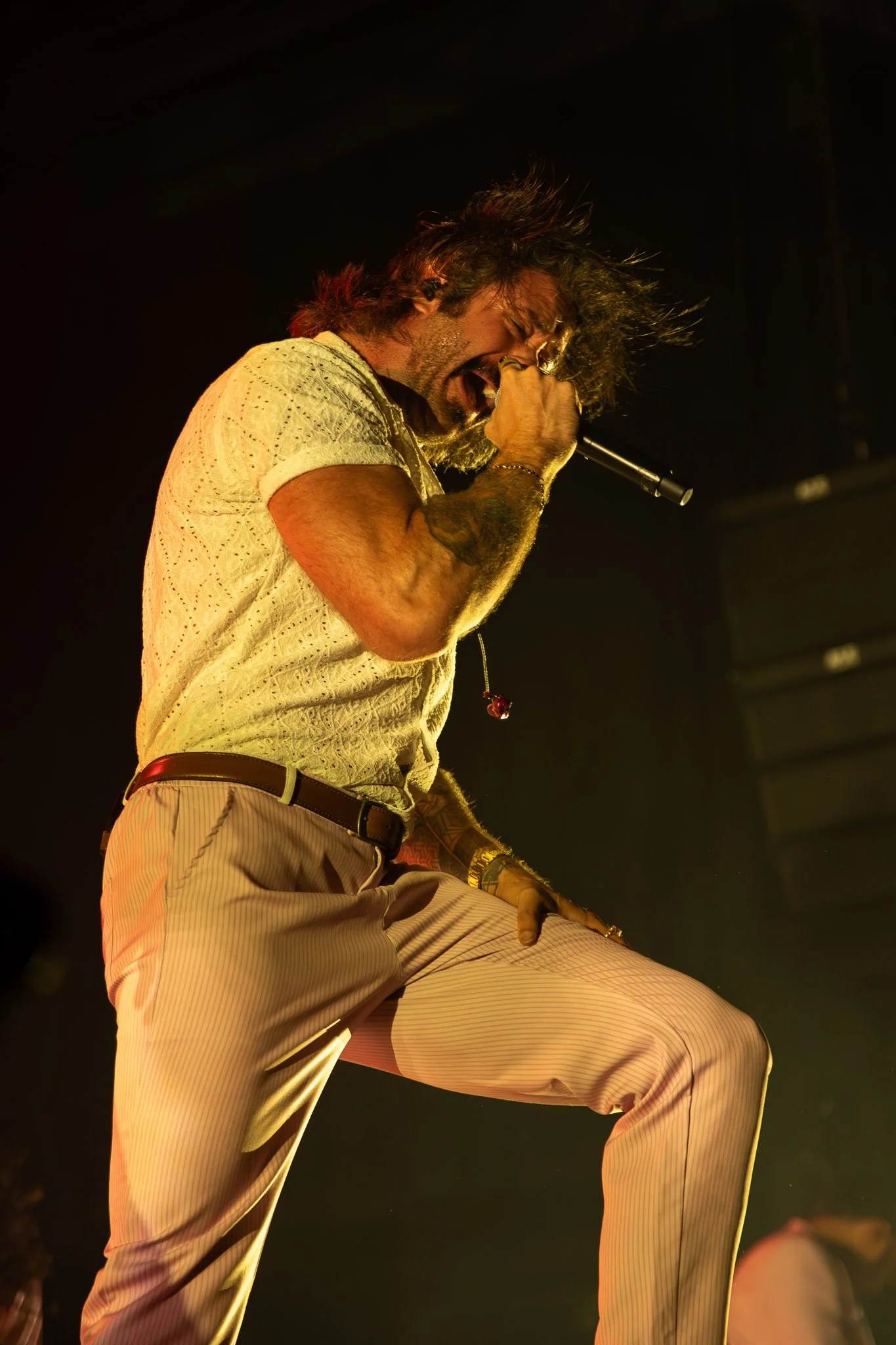 DGD (12).jpg