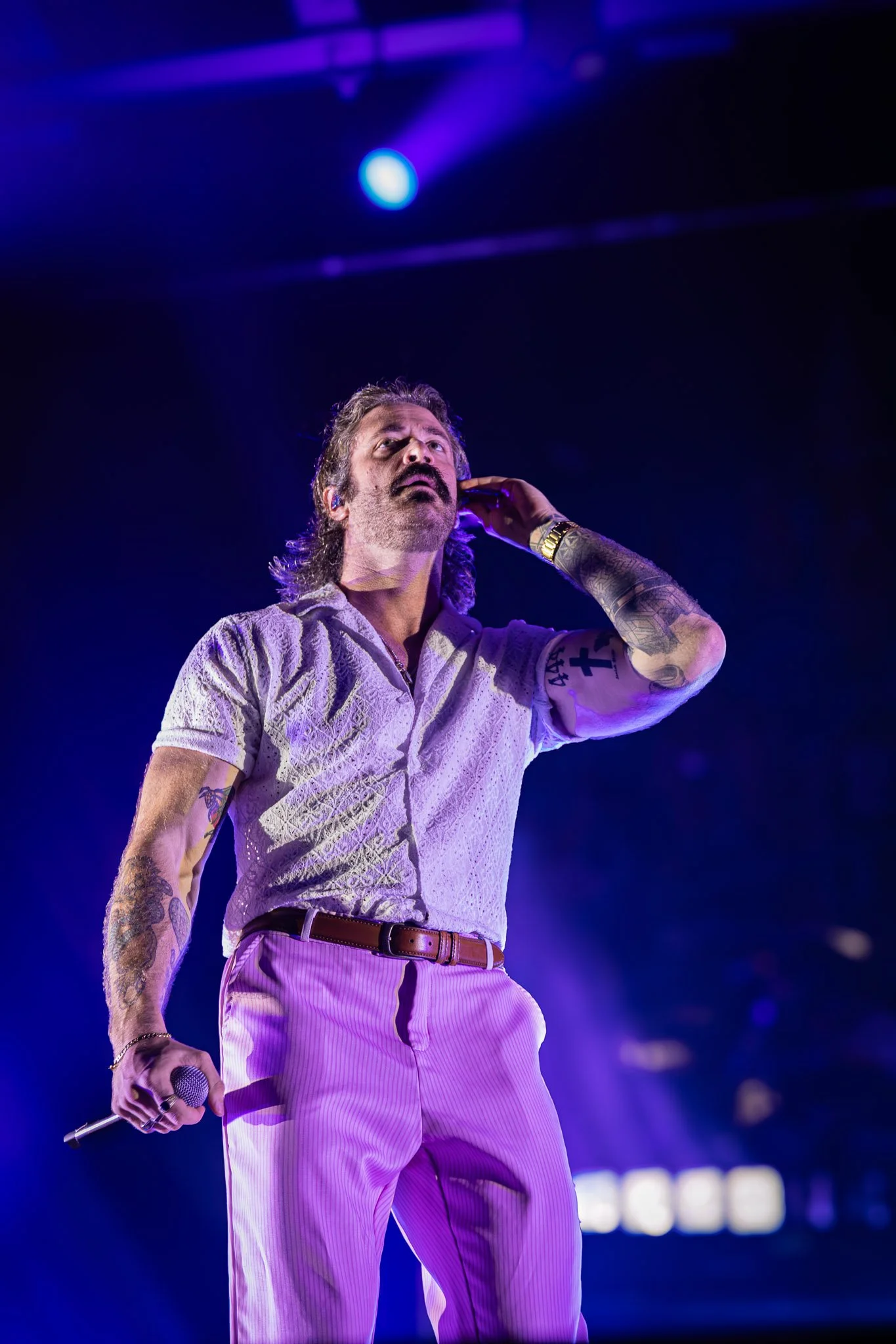 DGD (17).jpg