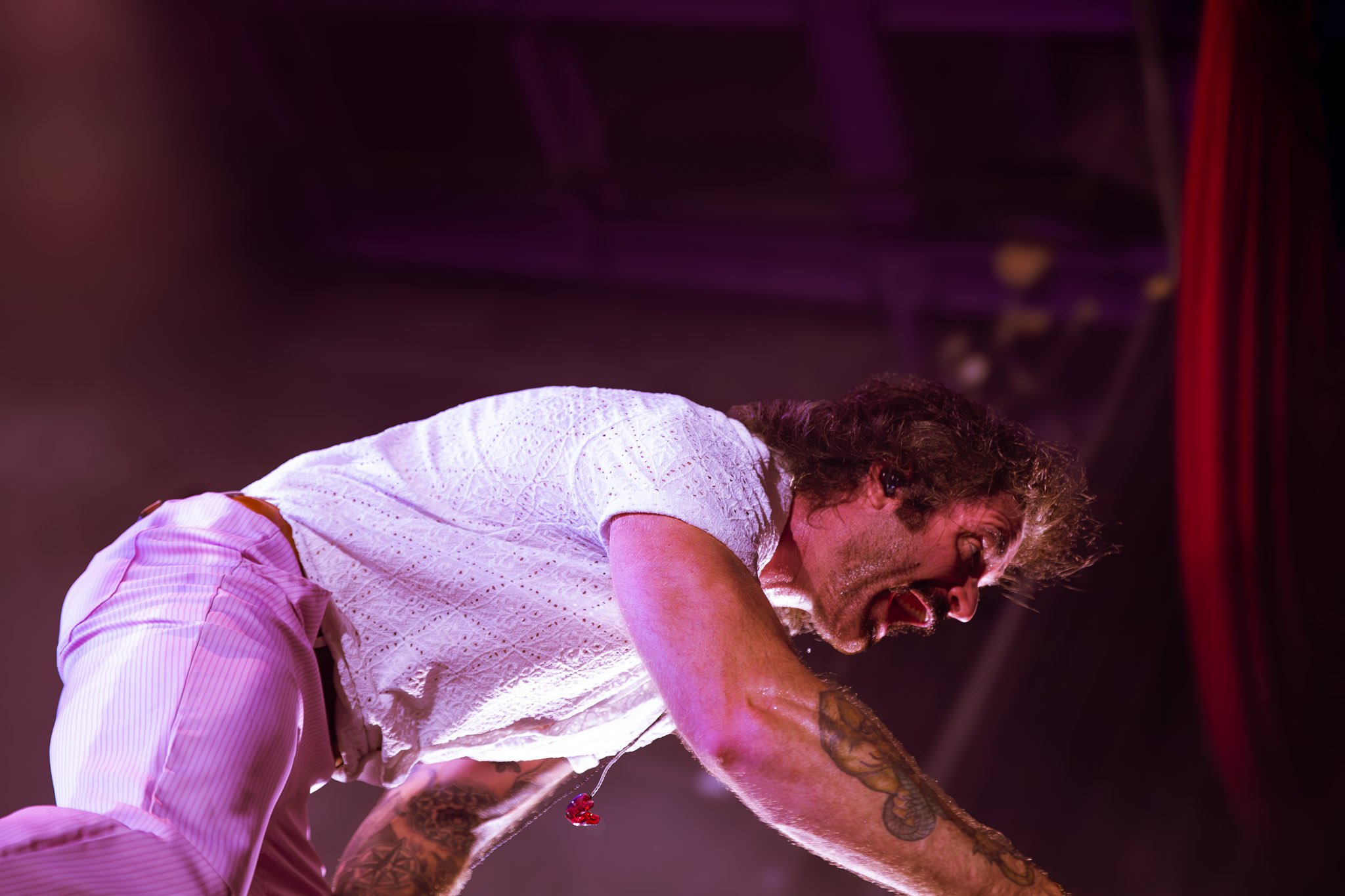DGD (19).jpg