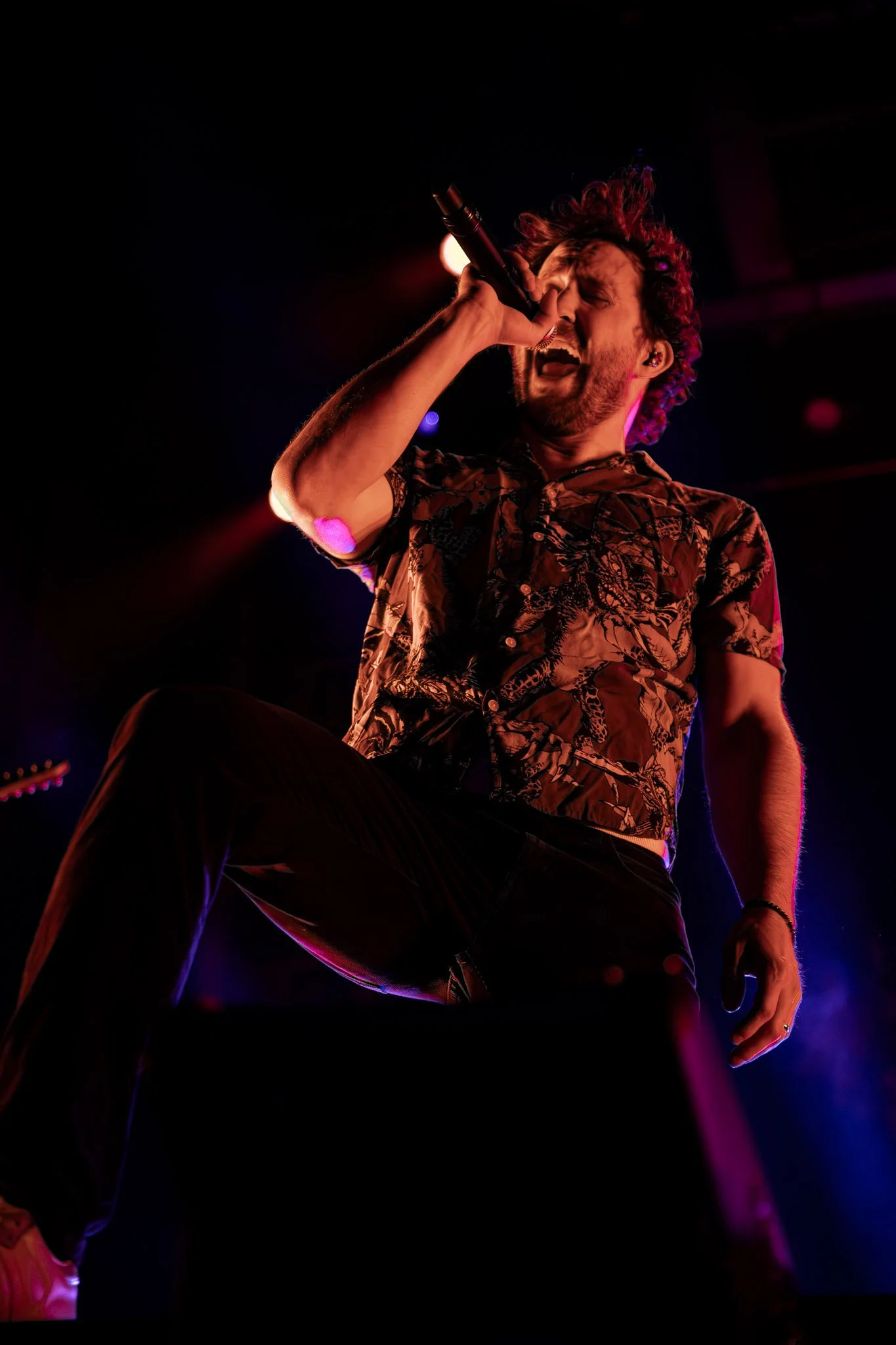 DGD (22).jpg