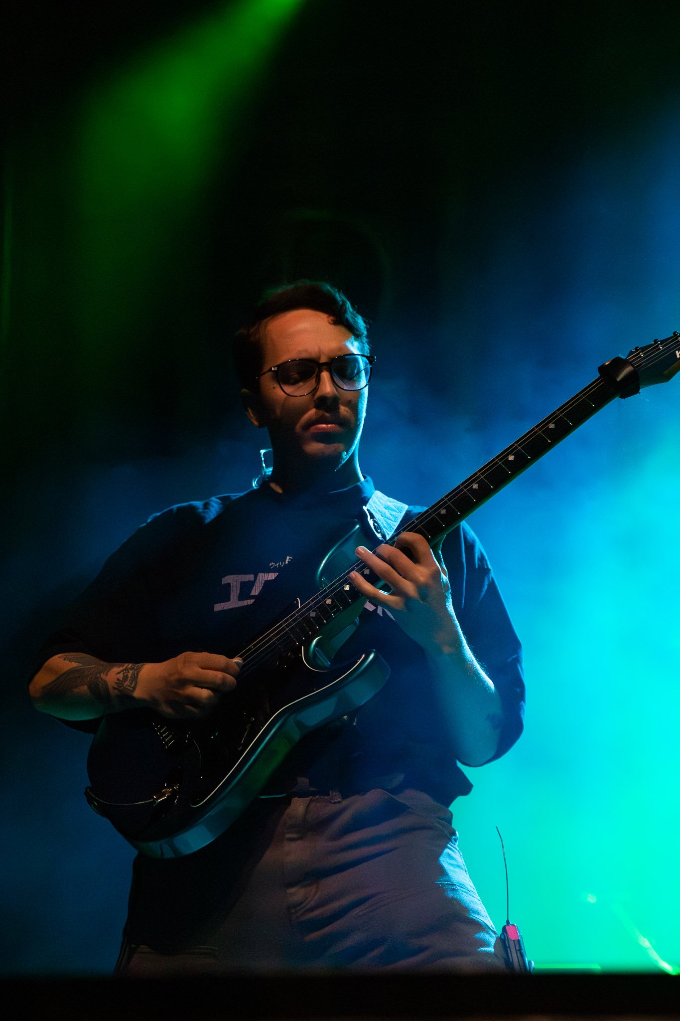 Wolf & Bear-6-2.jpg