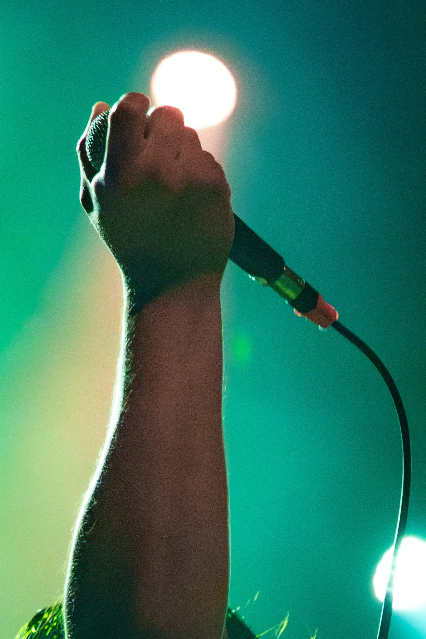 Wolf & Bear-6.jpg