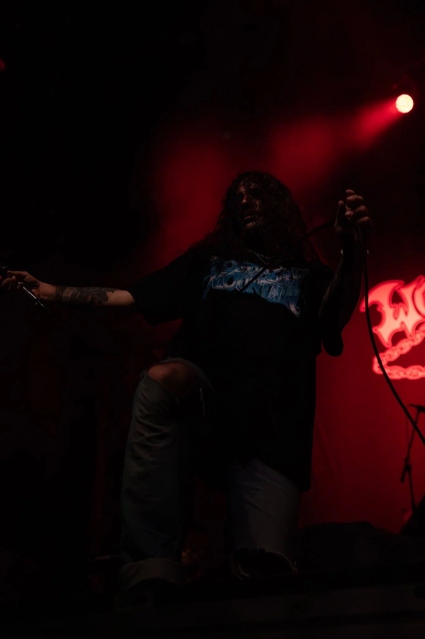 Wolf & Bear-13-2.jpg