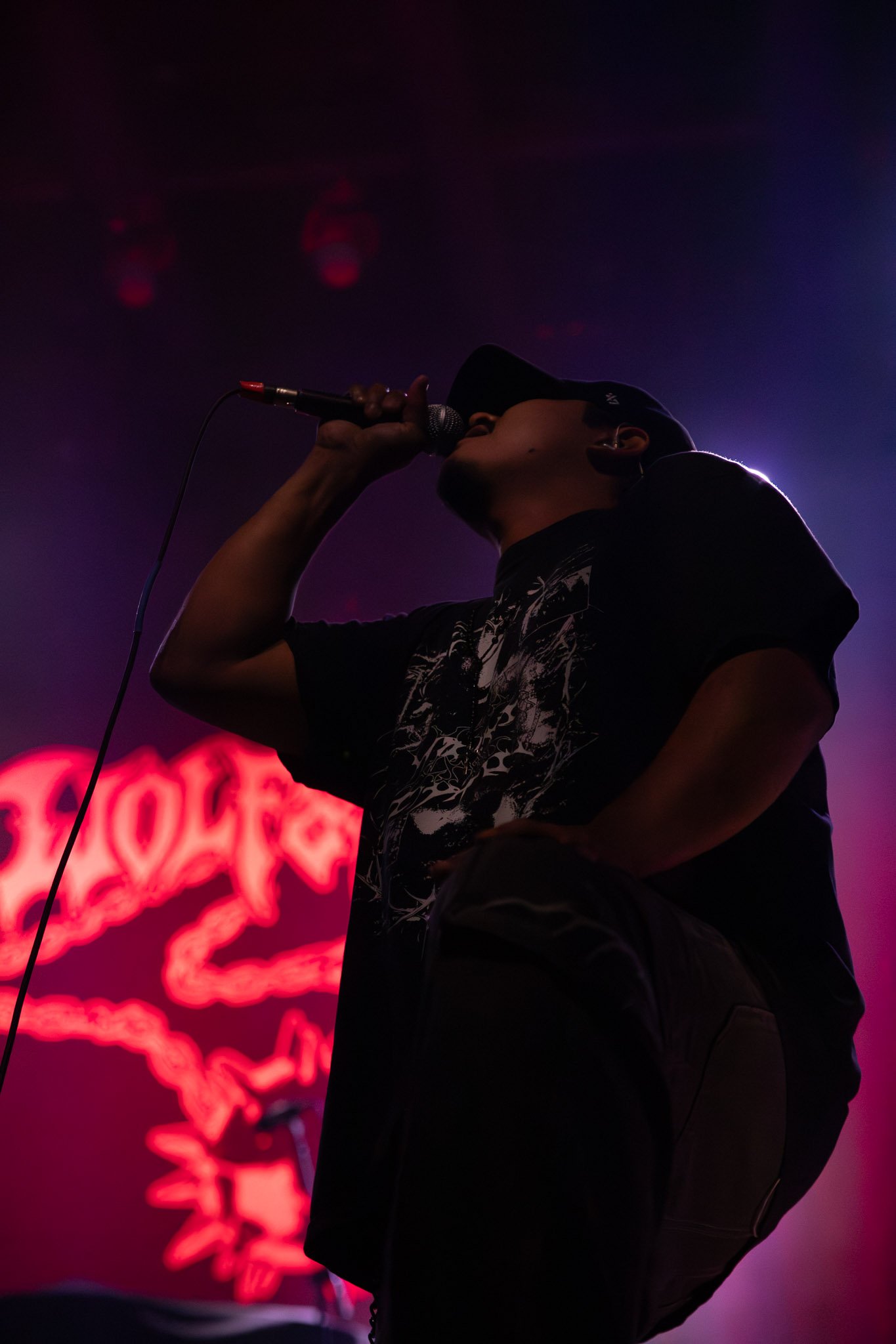 Wolf & Bear-15-2.jpg