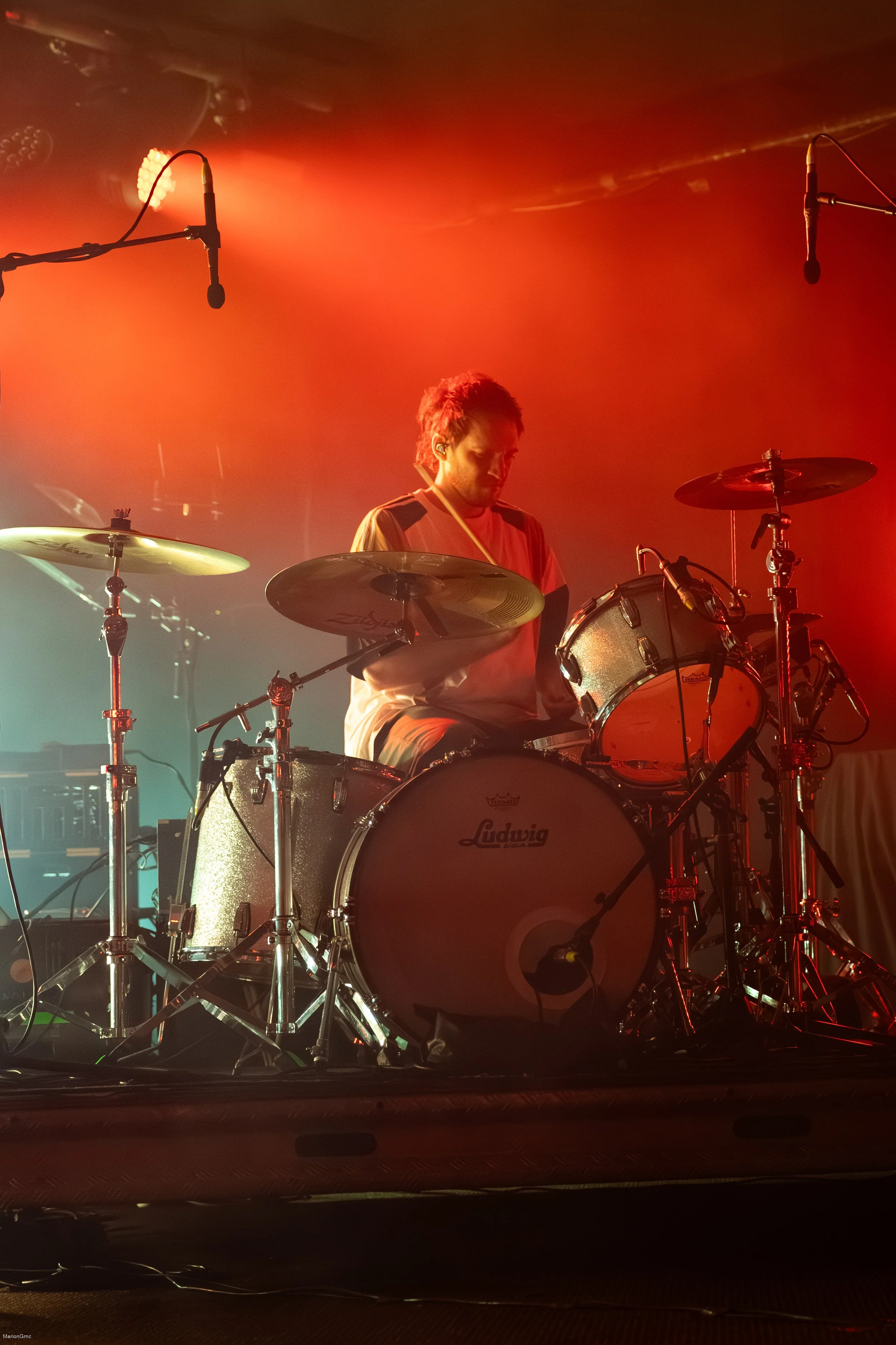 TheJungleGiants_MarionGrnc-5674.jpg