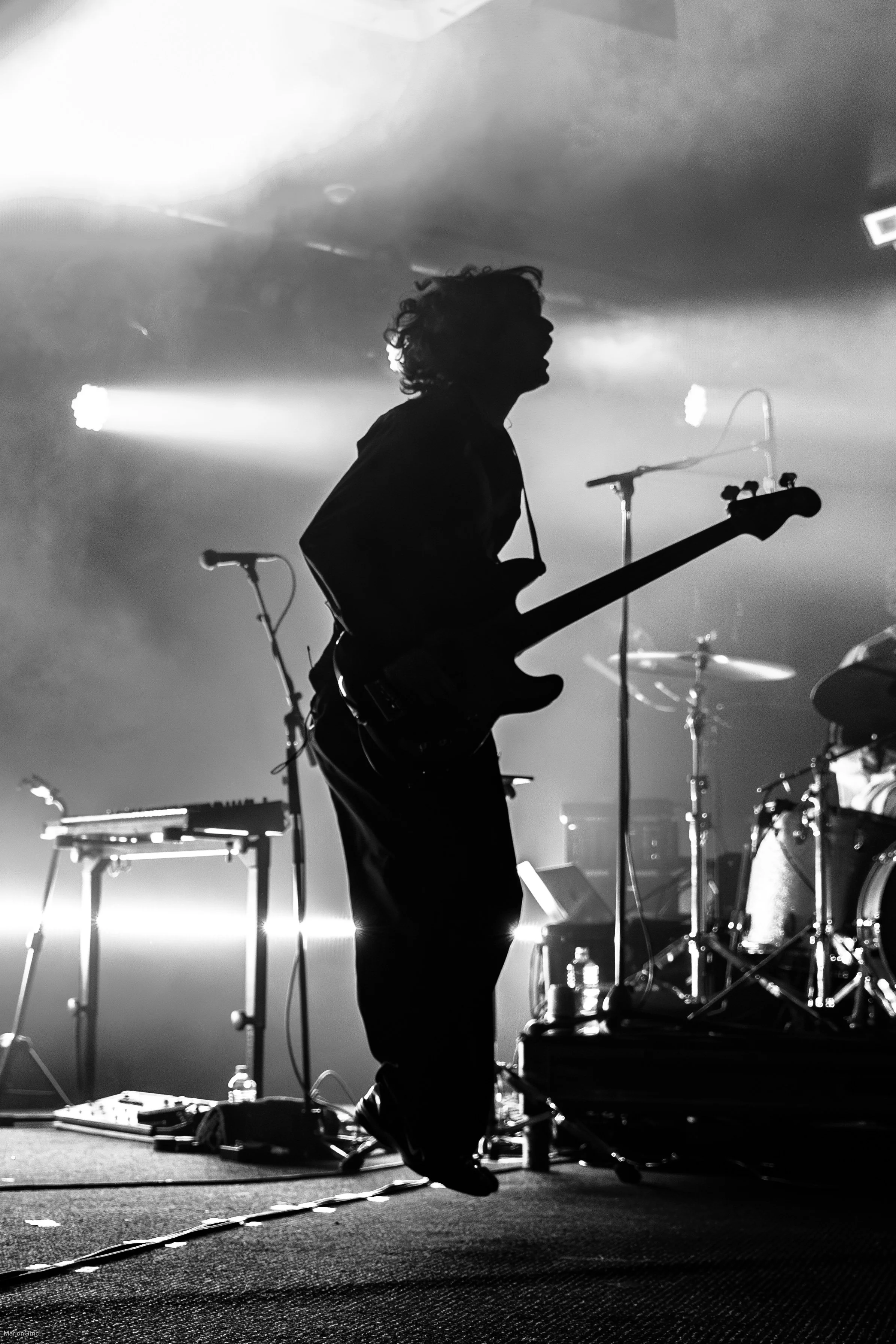 TheJungleGiants_MarionGrnc-5780.jpg