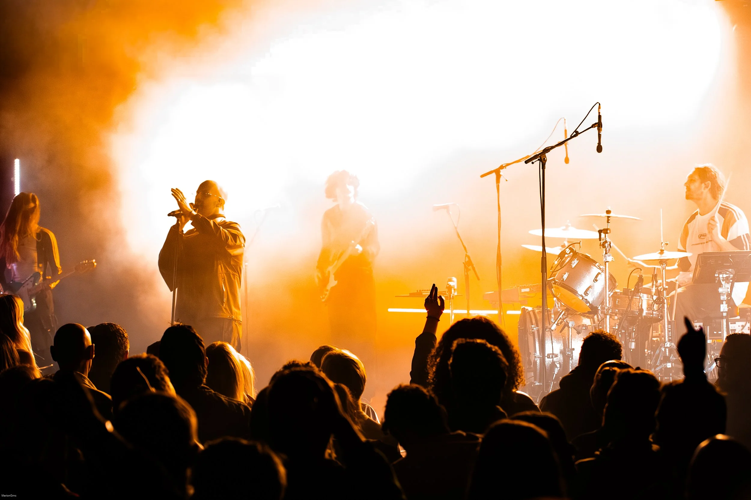 TheJungleGiants_MarionGrnc-9201.jpg
