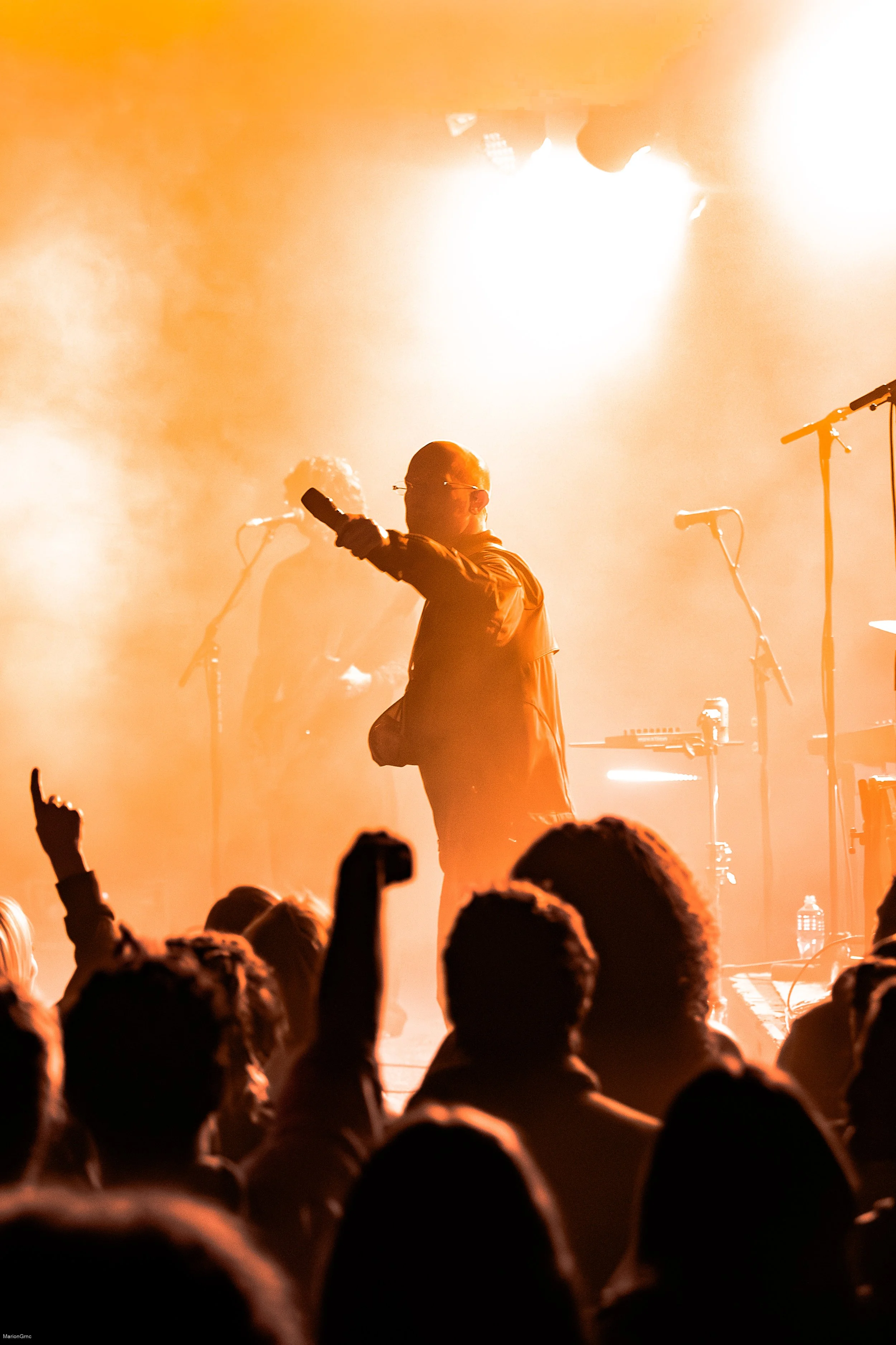 TheJungleGiants_MarionGrnc-9253.jpg