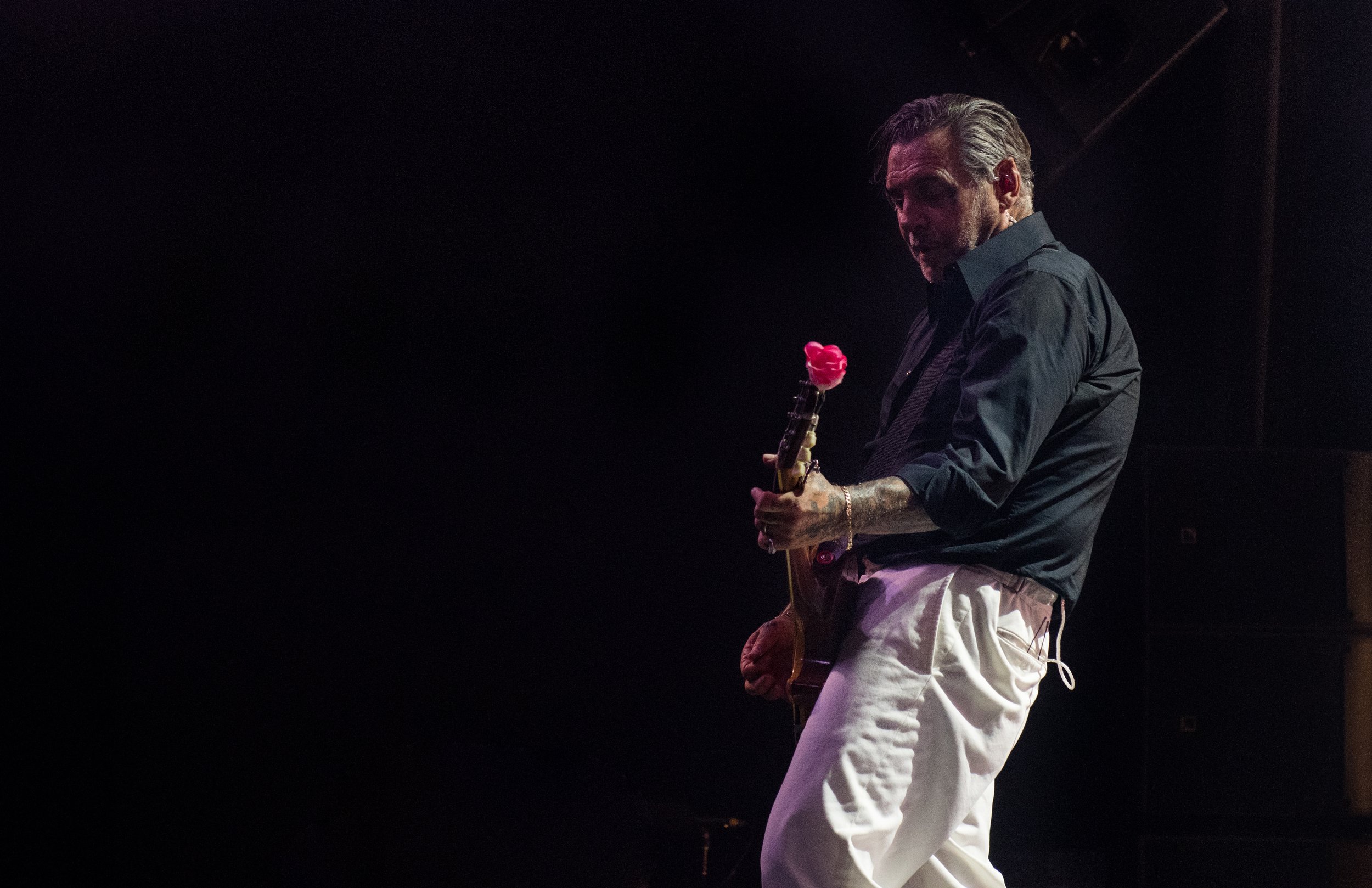 sociald-33.JPG