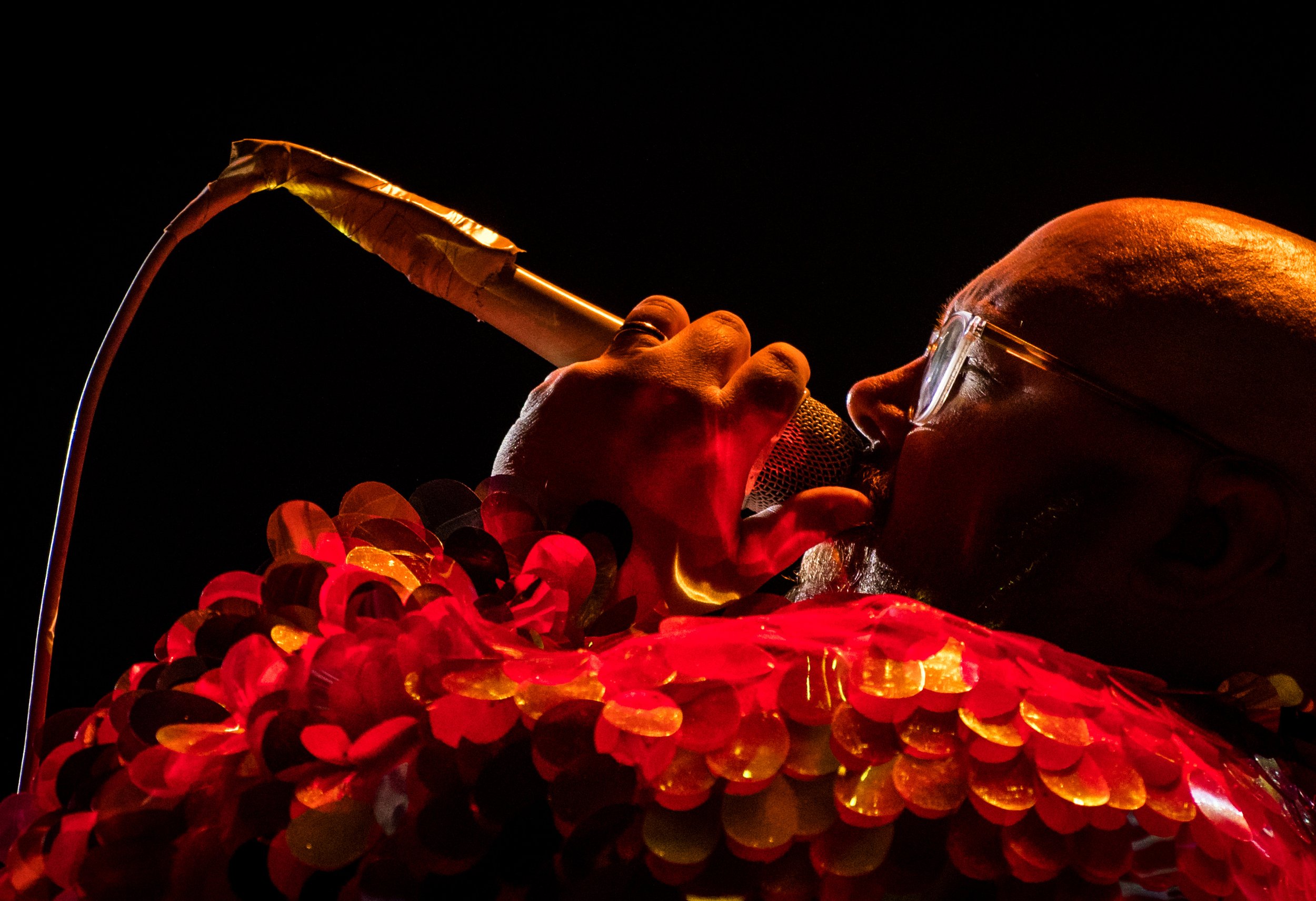St Paul and the Broken Bones-6.JPG