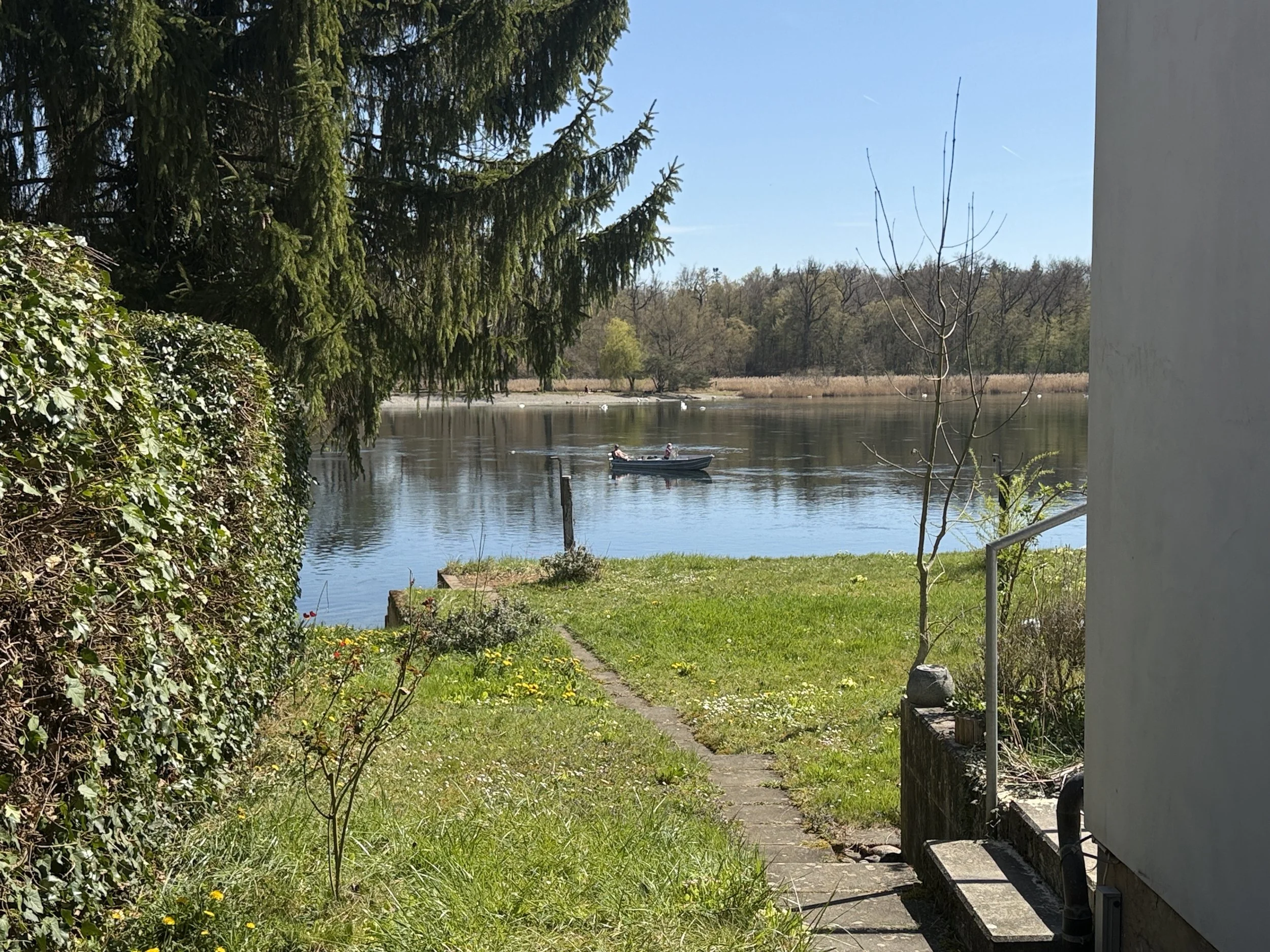 Wohnen am Rhein
