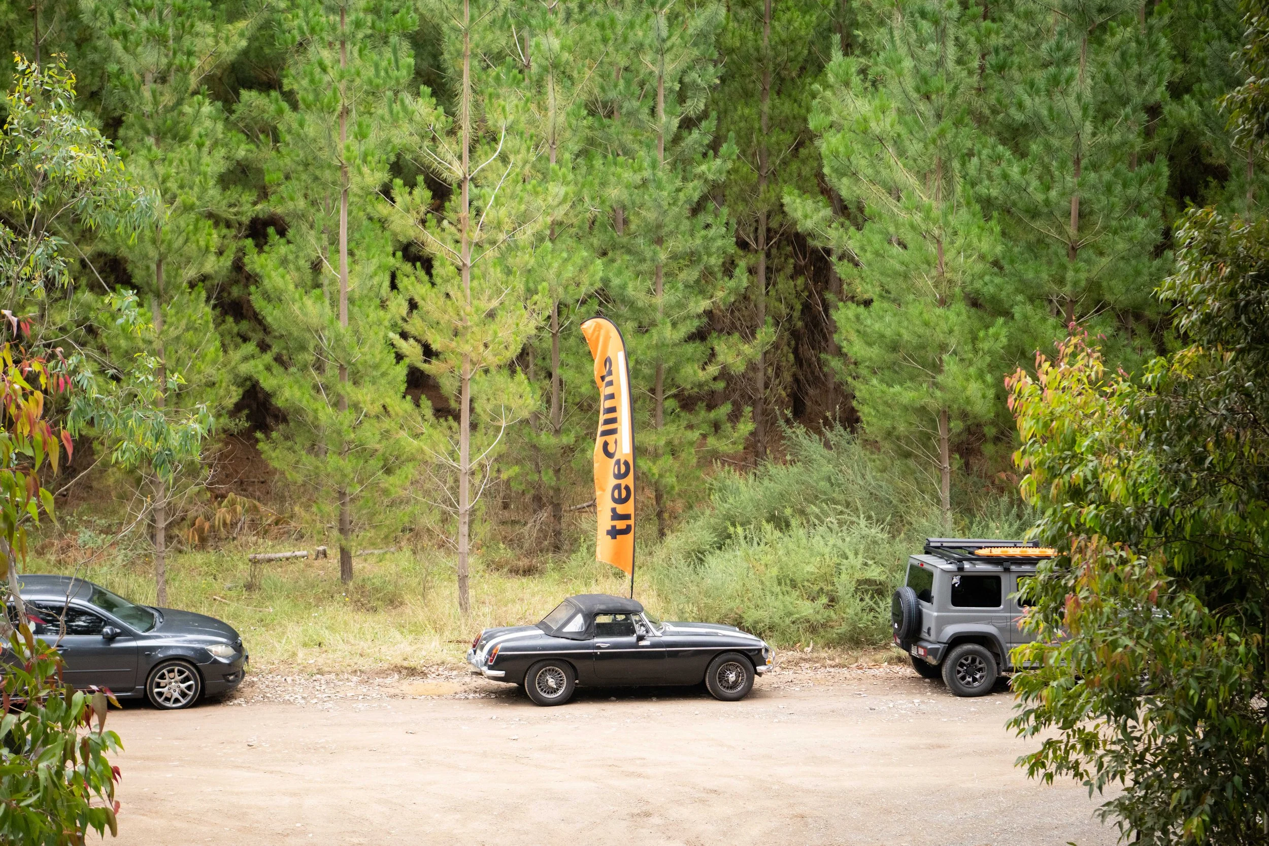 Three cars parked on a dirt road beside a forest, with an orange "tree climb" banner between the trees.