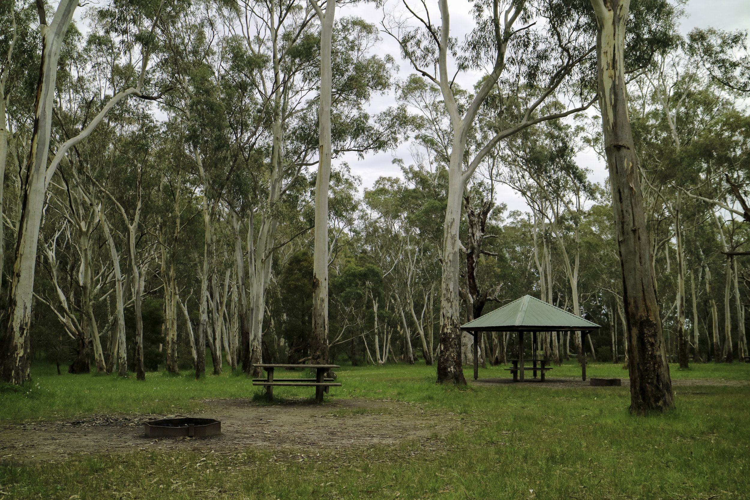 Chookarloo Picnic Ground.JPG