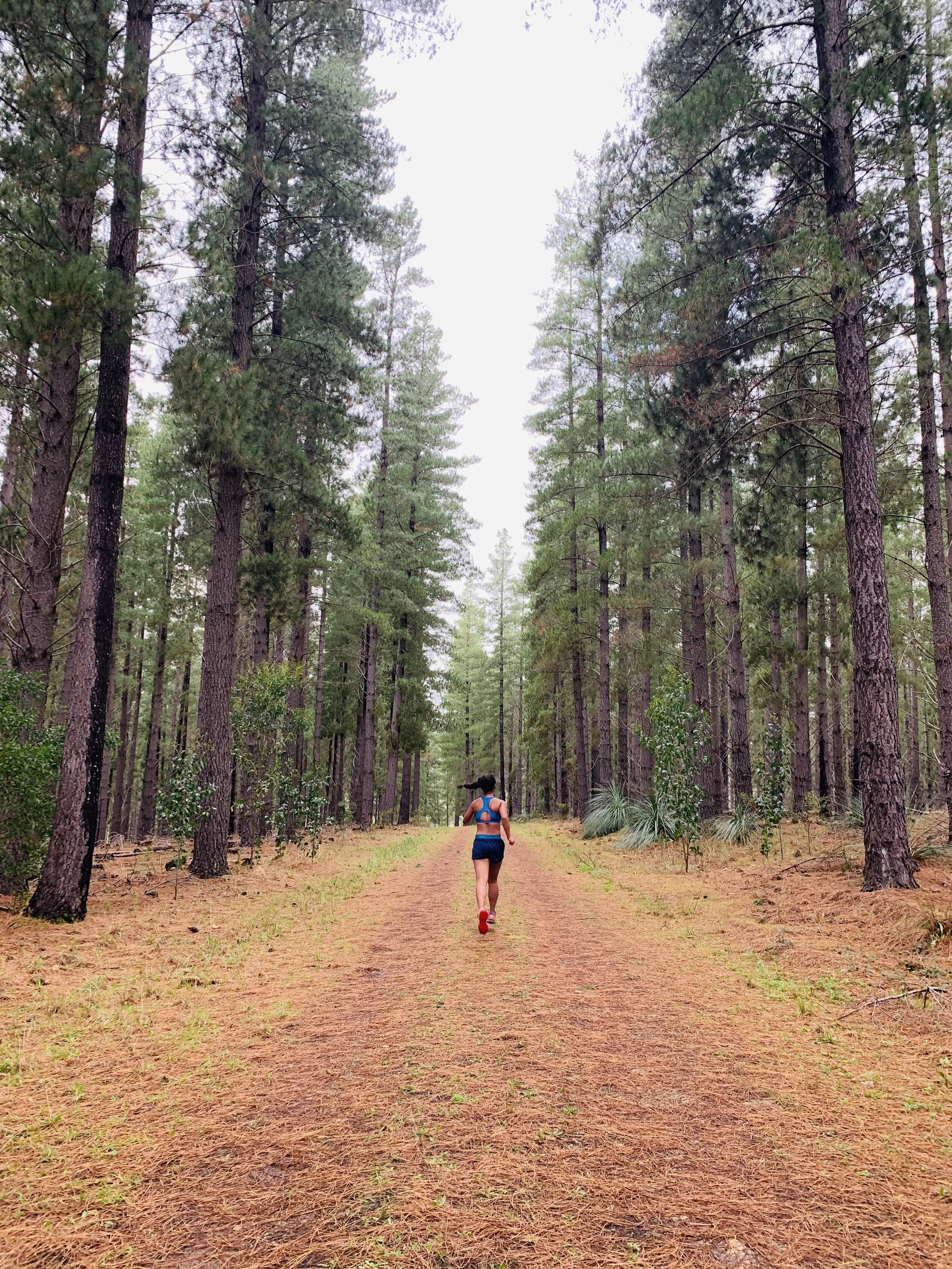 Image by Maricar Cerna