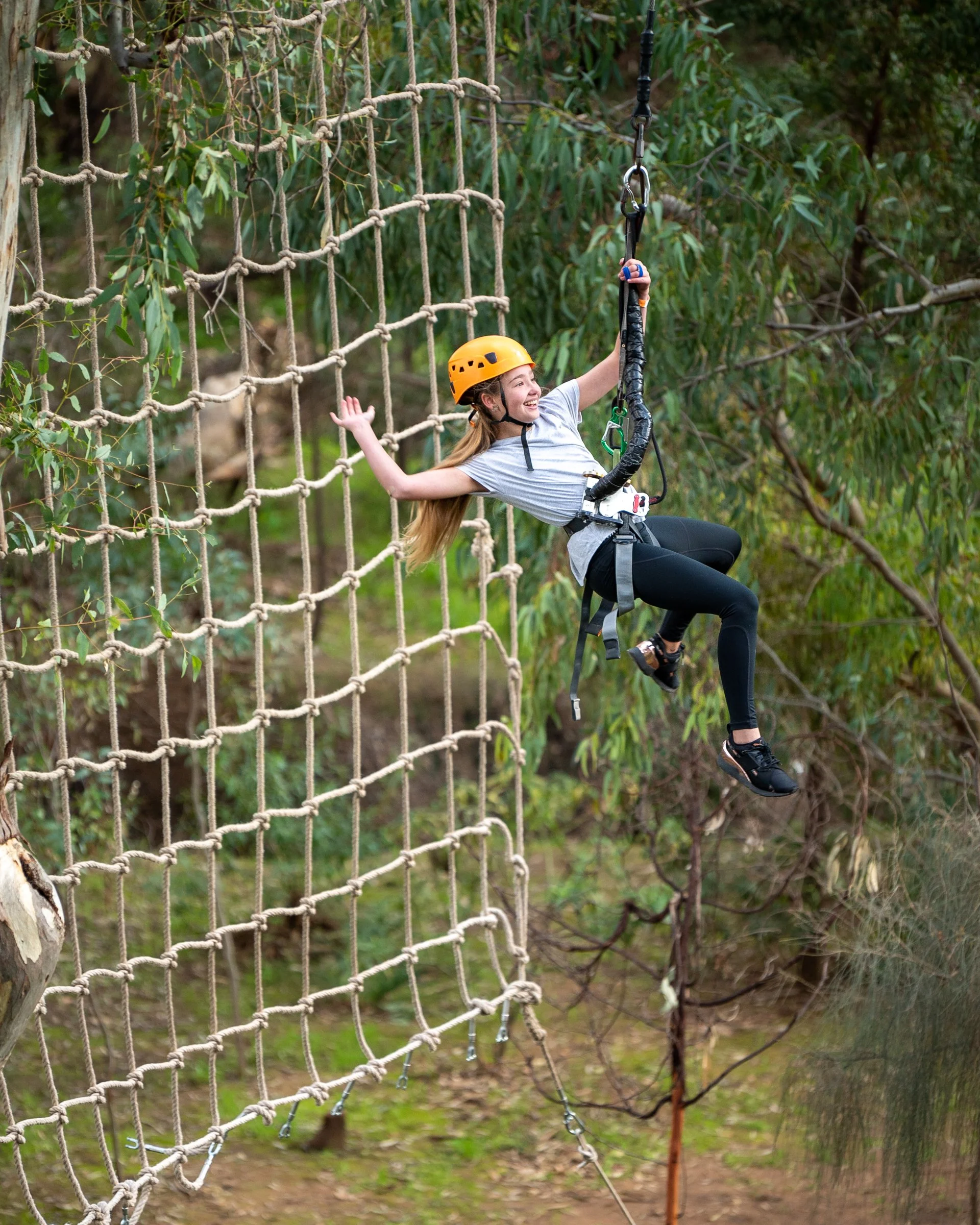 Experiences — TreeClimb