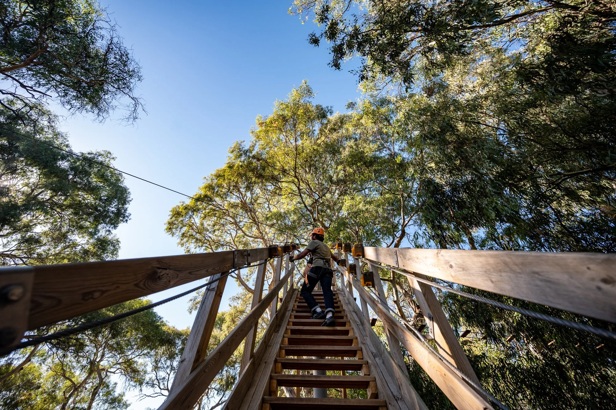 Person climbing wooden stairs towards a platform in a forest with trees and blue sky.