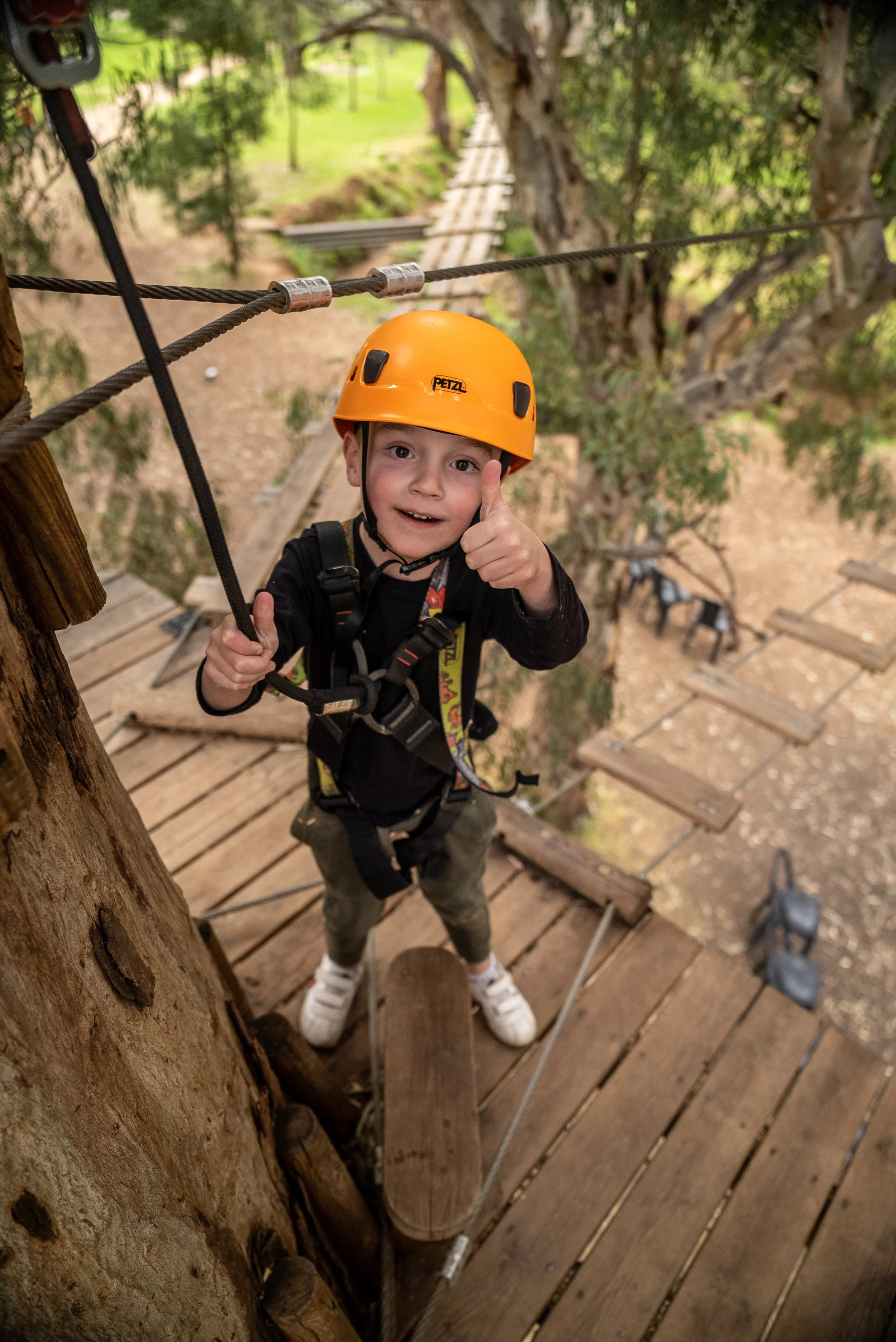 Child in an orange helmet on a treetop adventure course giving a thumbs up, wearing a safety harness, with trees and wooden platforms in the background.