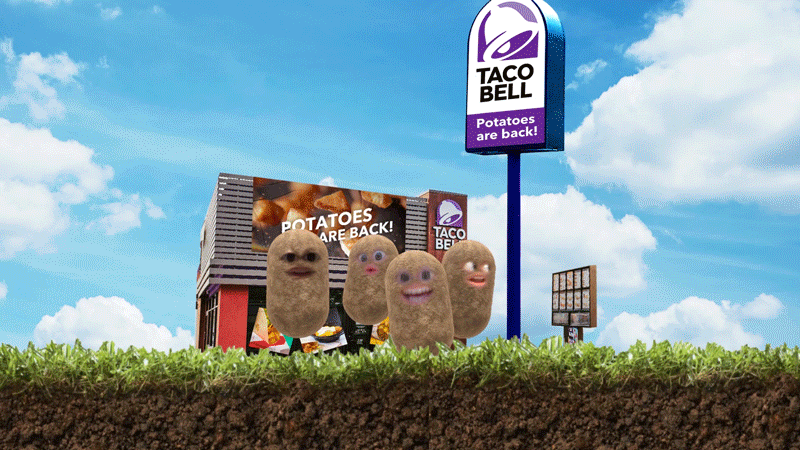 Return of the Potatoes