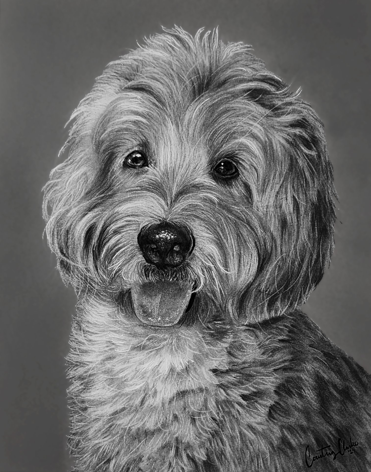 Bailey.jpg