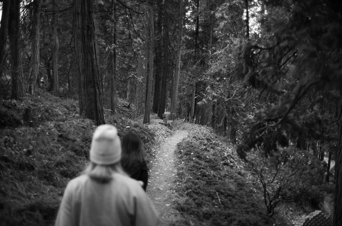 Ahwahnee _ Pendleton-01.jpg