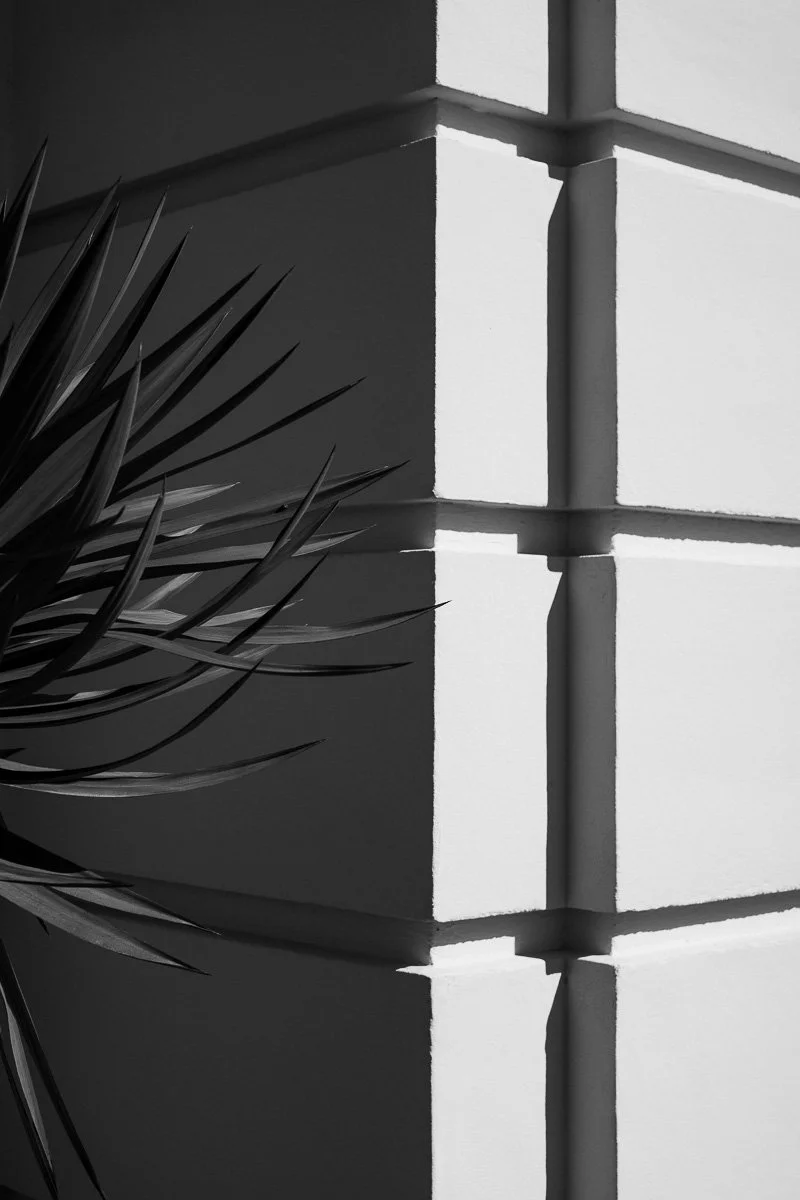 zacharylucas-arch.jpg