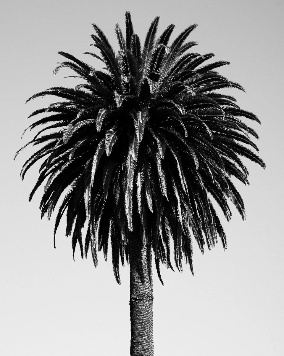 zacharylucas-b&w-11.jpg