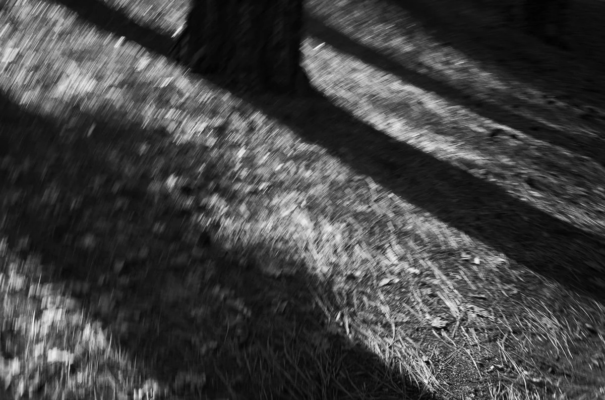 Ahwahnee _ Pendleton-13.jpg