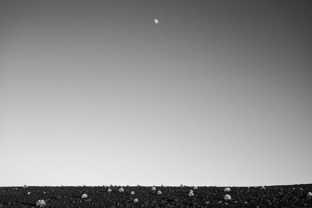 zacharylucas-b&w-23.jpg