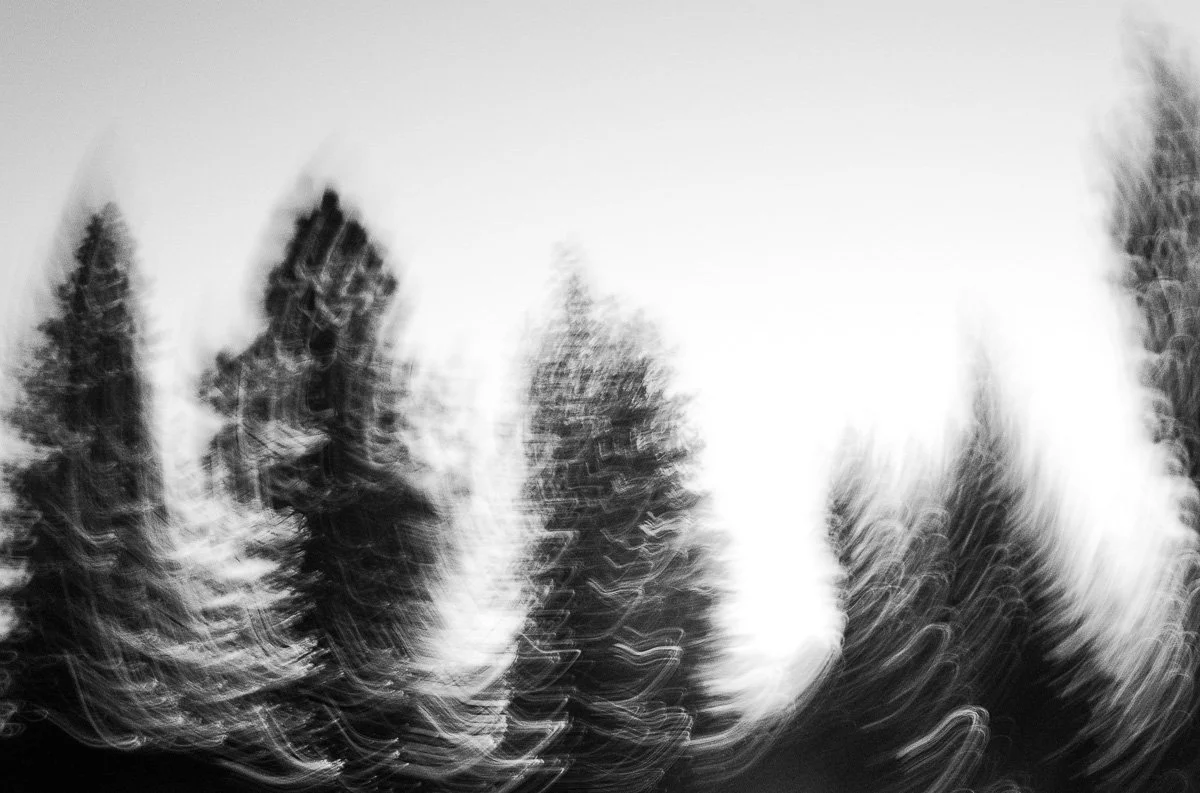 Ahwahnee _ Pendleton-10.jpg