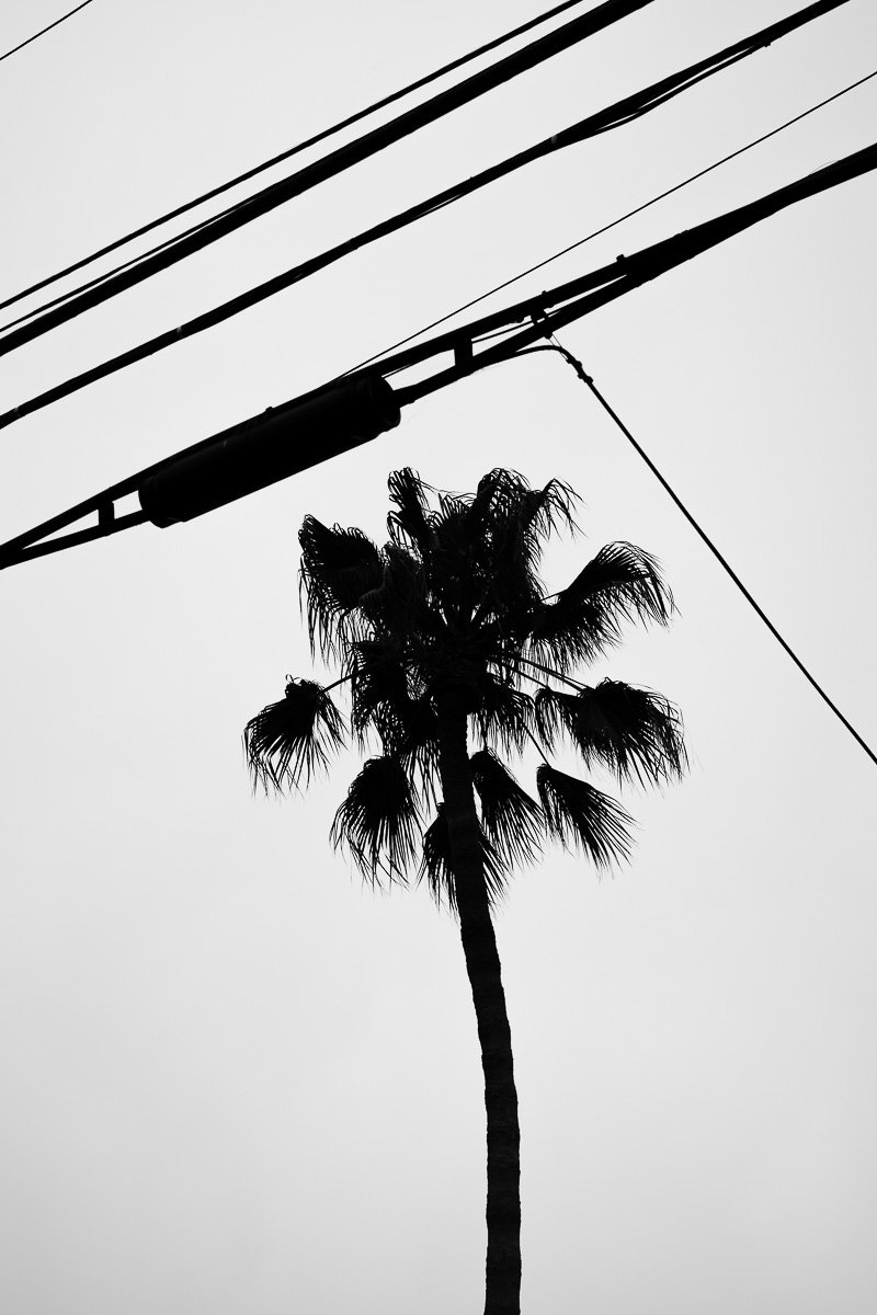 zacharylucas-b&w-9.jpg