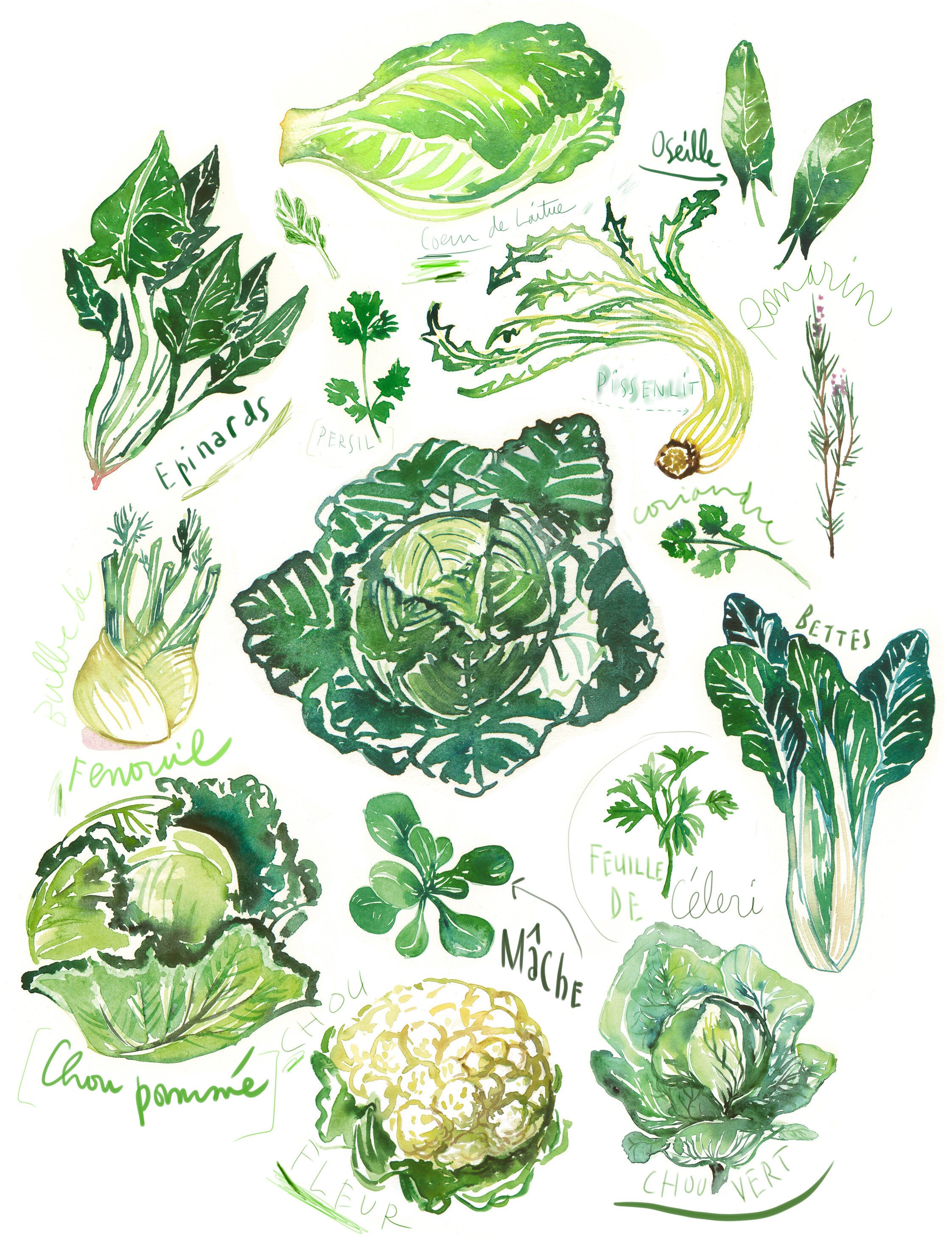 Green Vegetables