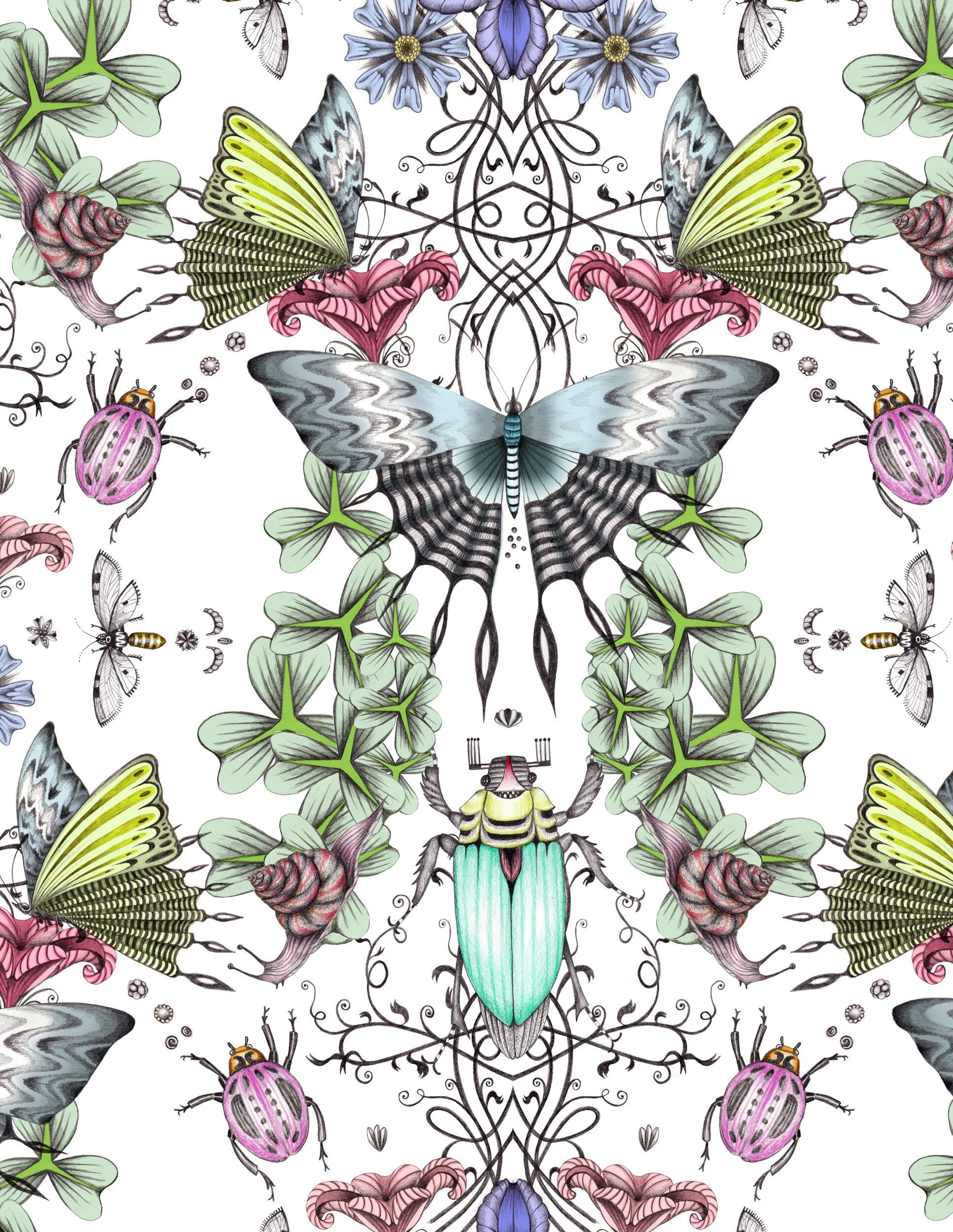 Butterfly Reflections