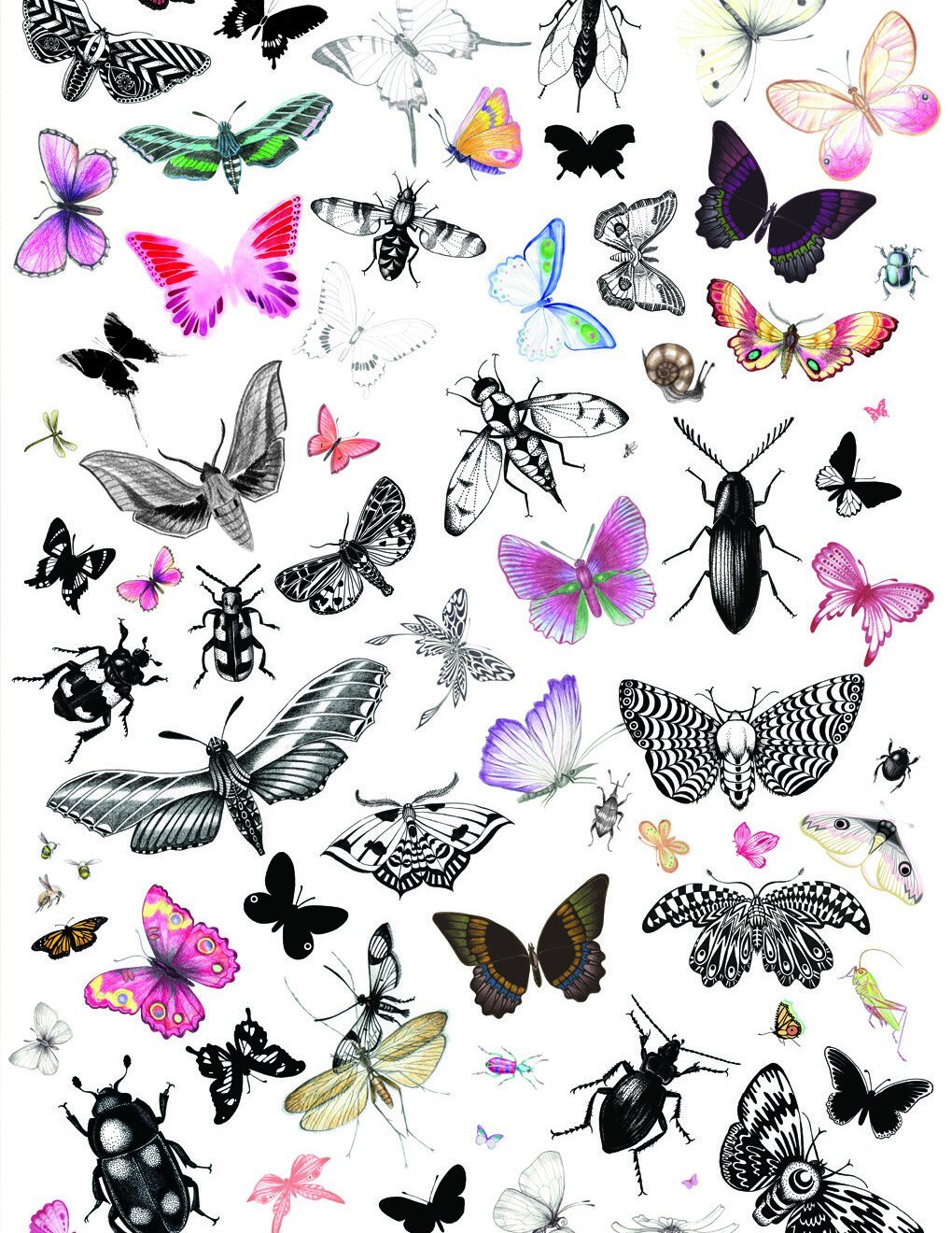 Collage of Insects