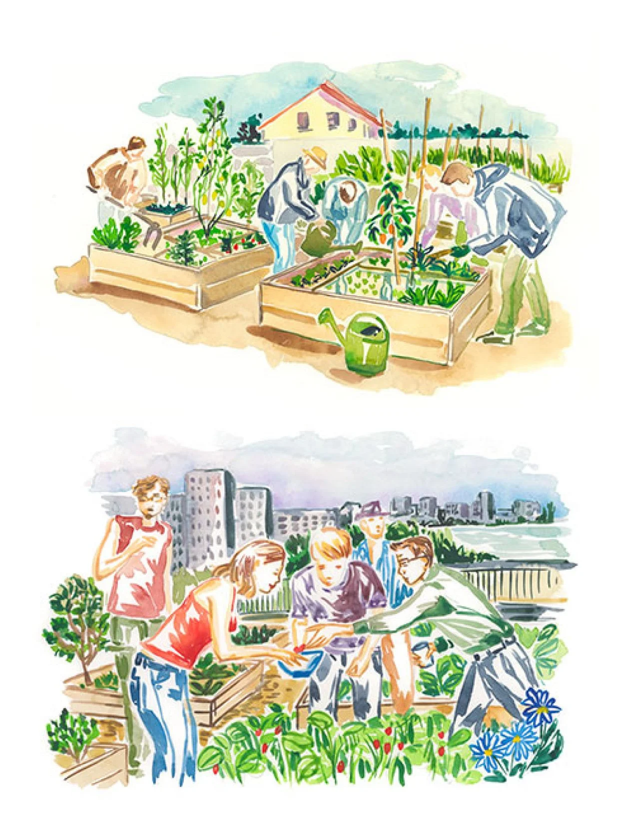 Lucile_Prache_Gardening_Illustrations.jpg