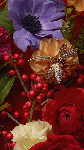 Aerin Beauty Amber Musk Holiday animation GIF.gif