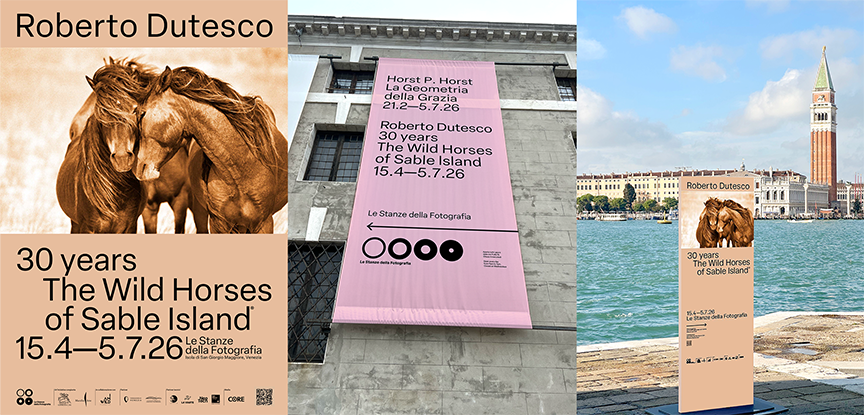 IAMWILD Presents: 30 Years of The Wild Horses of Sable Island